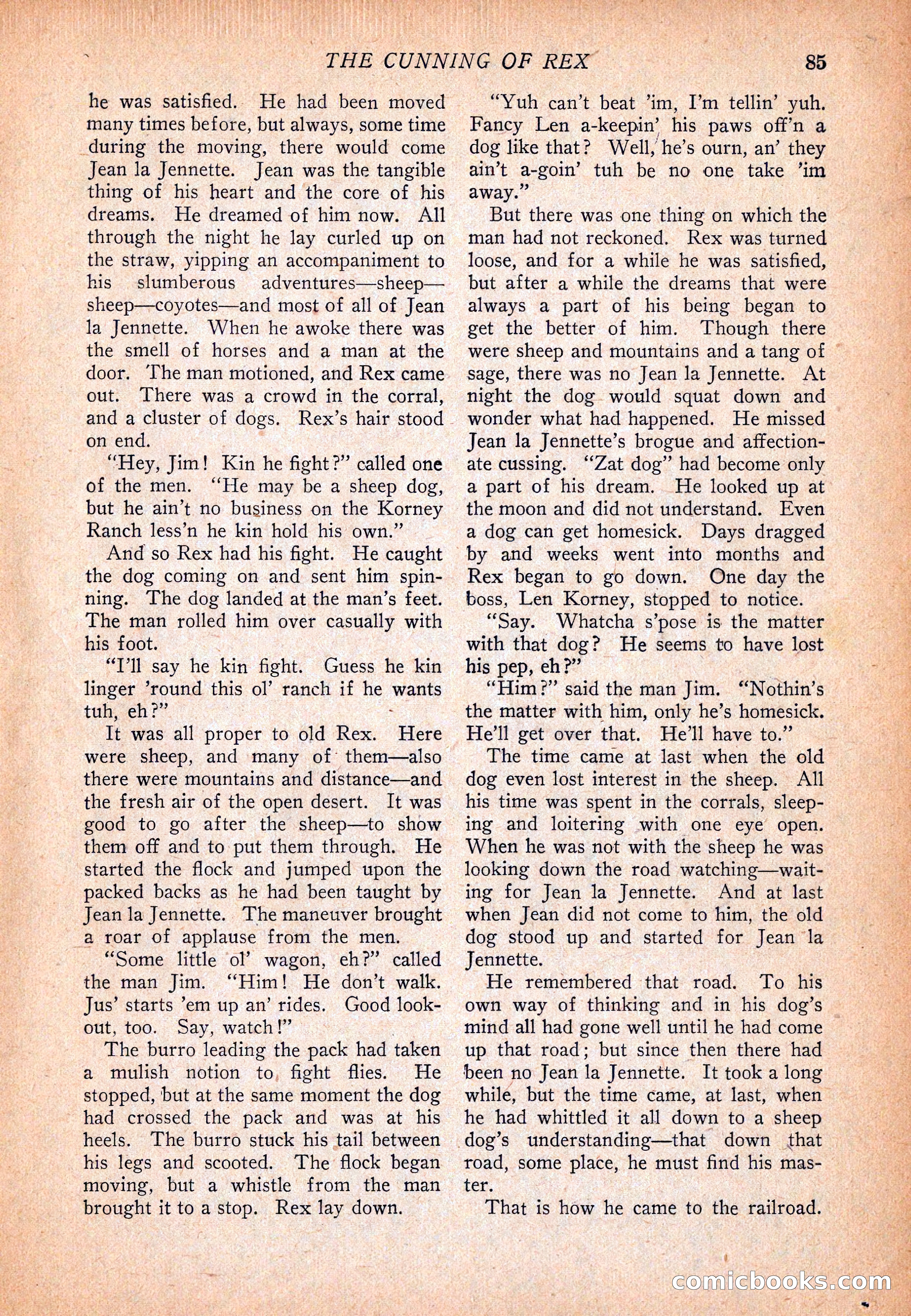 Western Story Magazine, December 13, 1924 — page 87 of 146