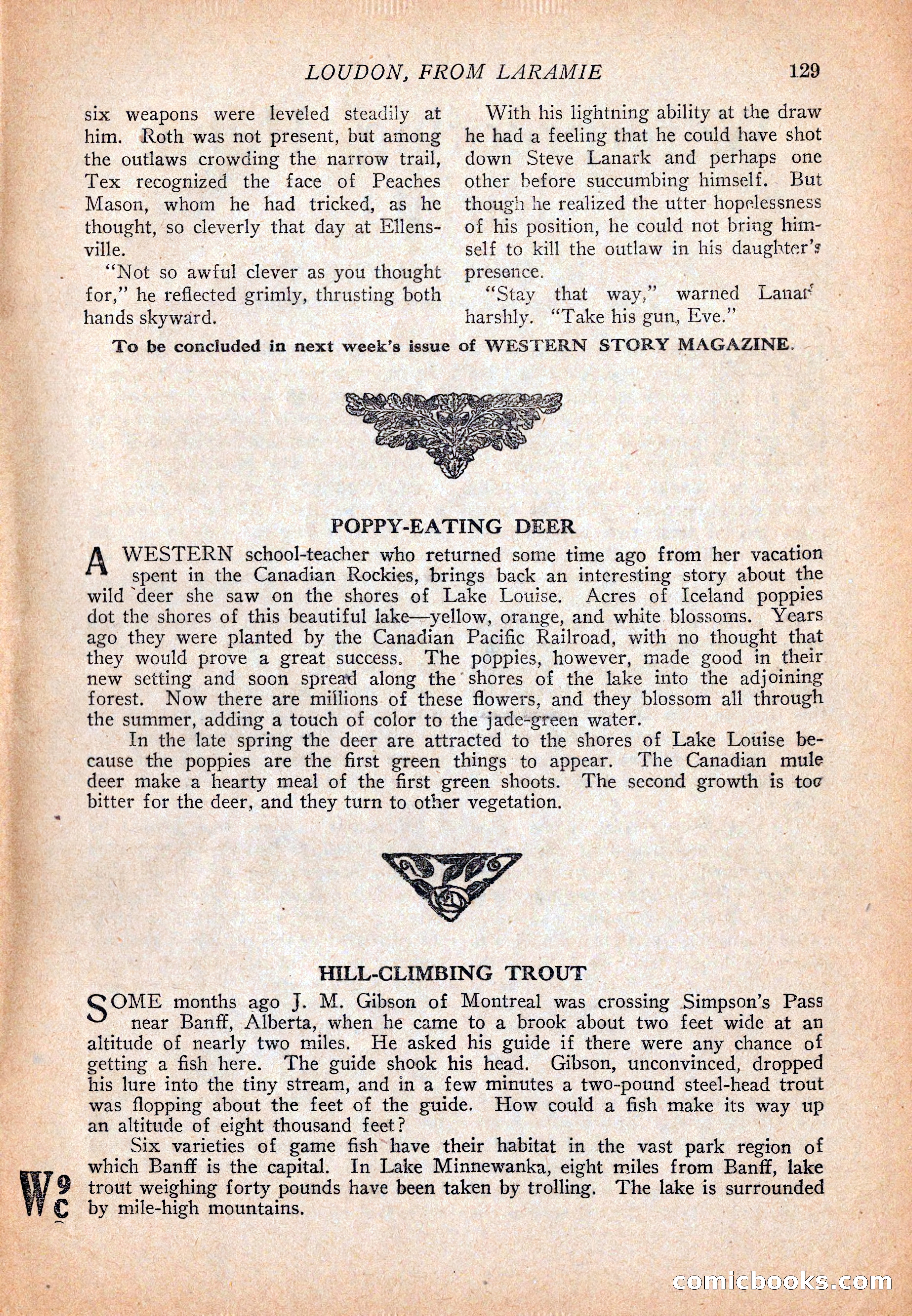 Western Story Magazine, December 13, 1924 — page 131 of 146