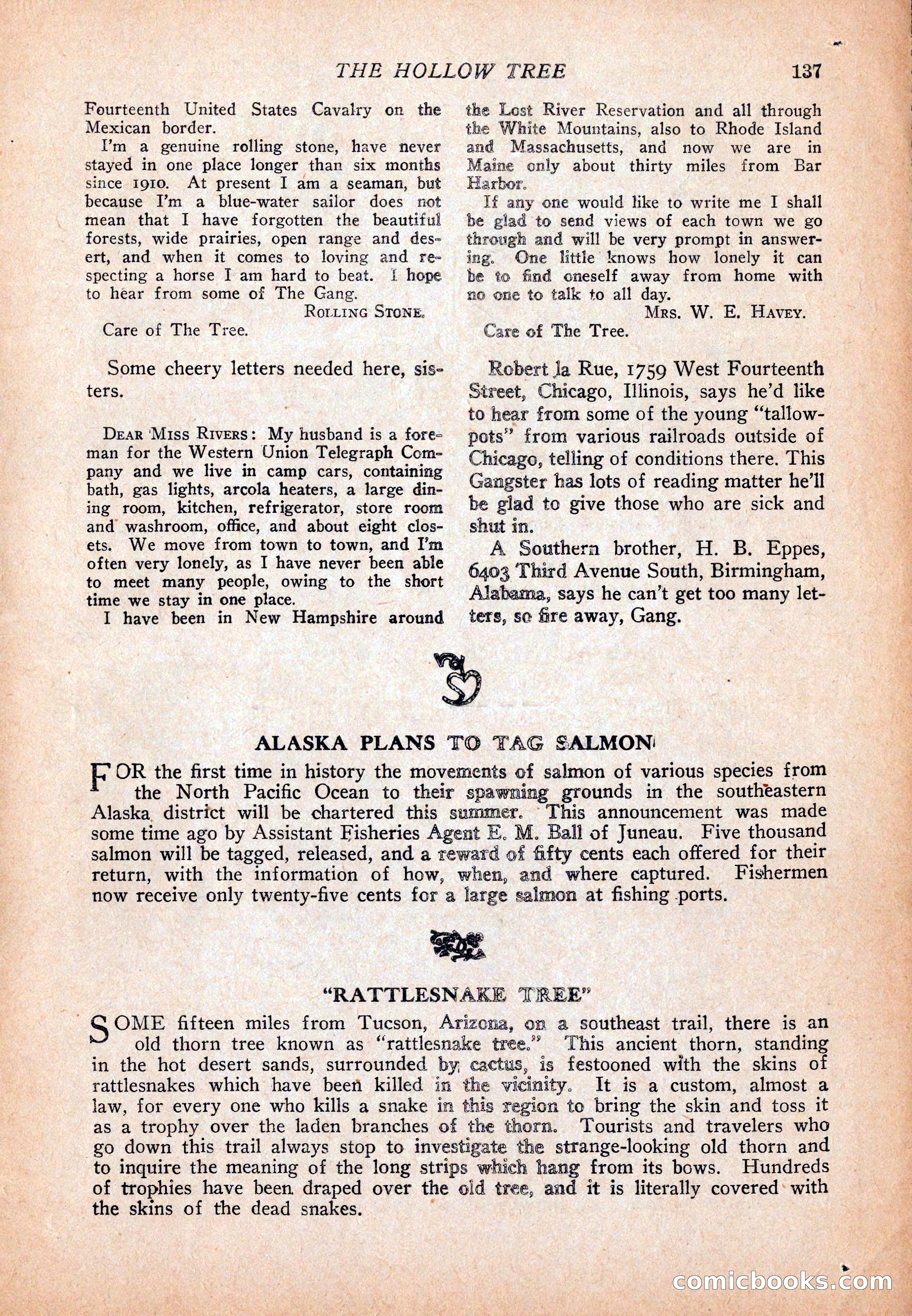 Western Story Magazine, December 13, 1924 — page 139 of 146