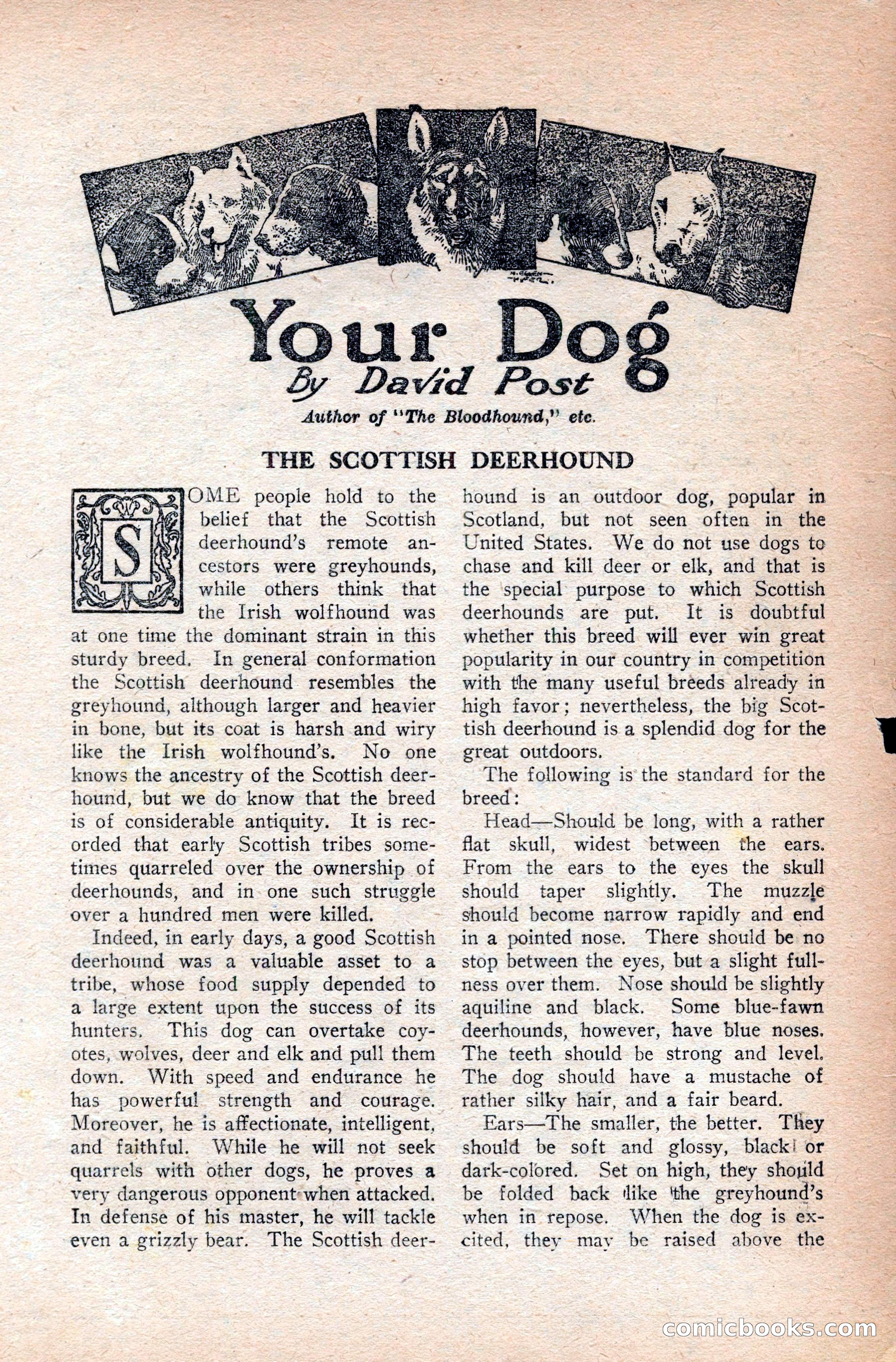 Western Story Magazine — page 97 of 166