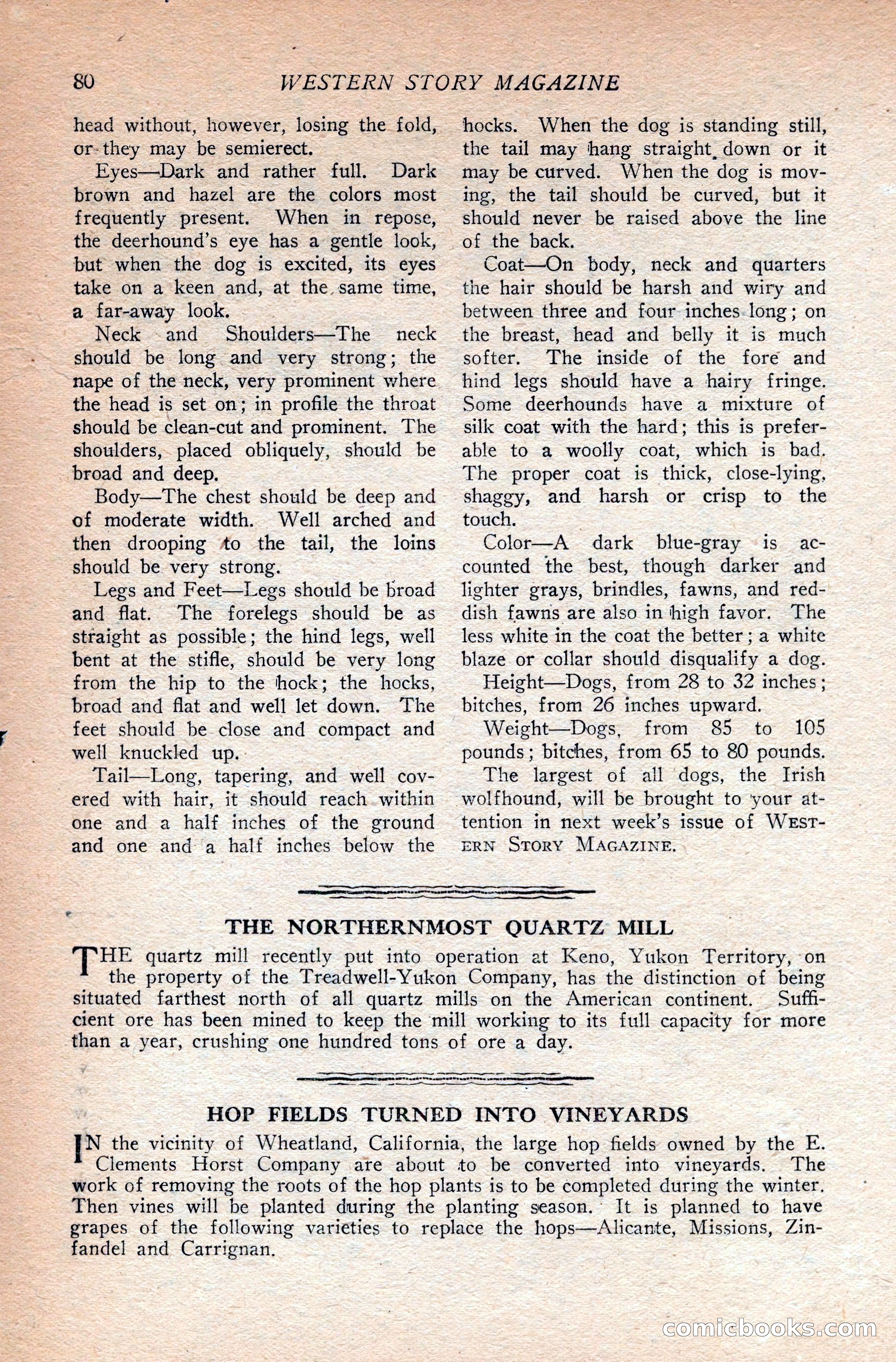 Western Story Magazine — page 98 of 166