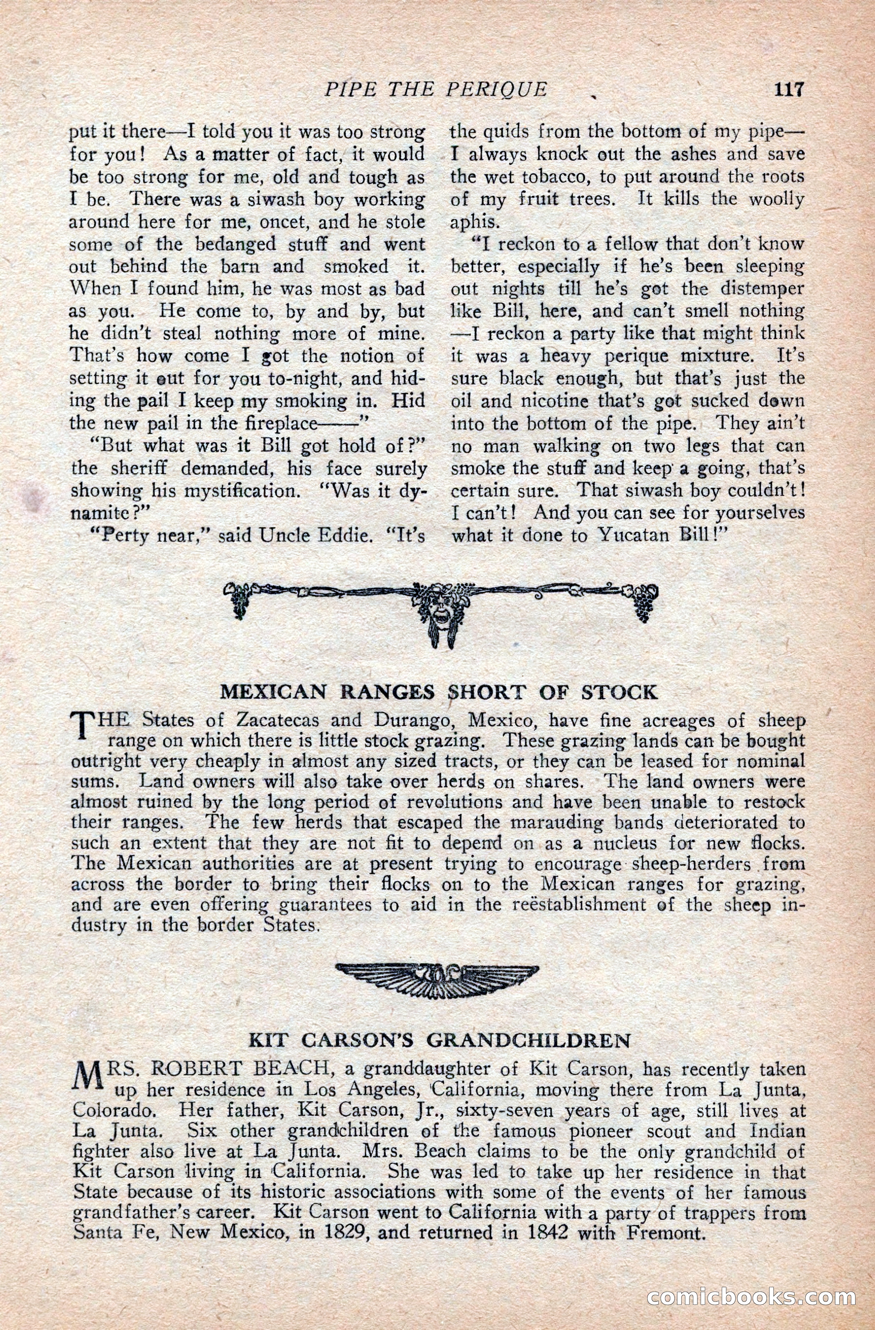 Western Story Magazine — page 121 of 166