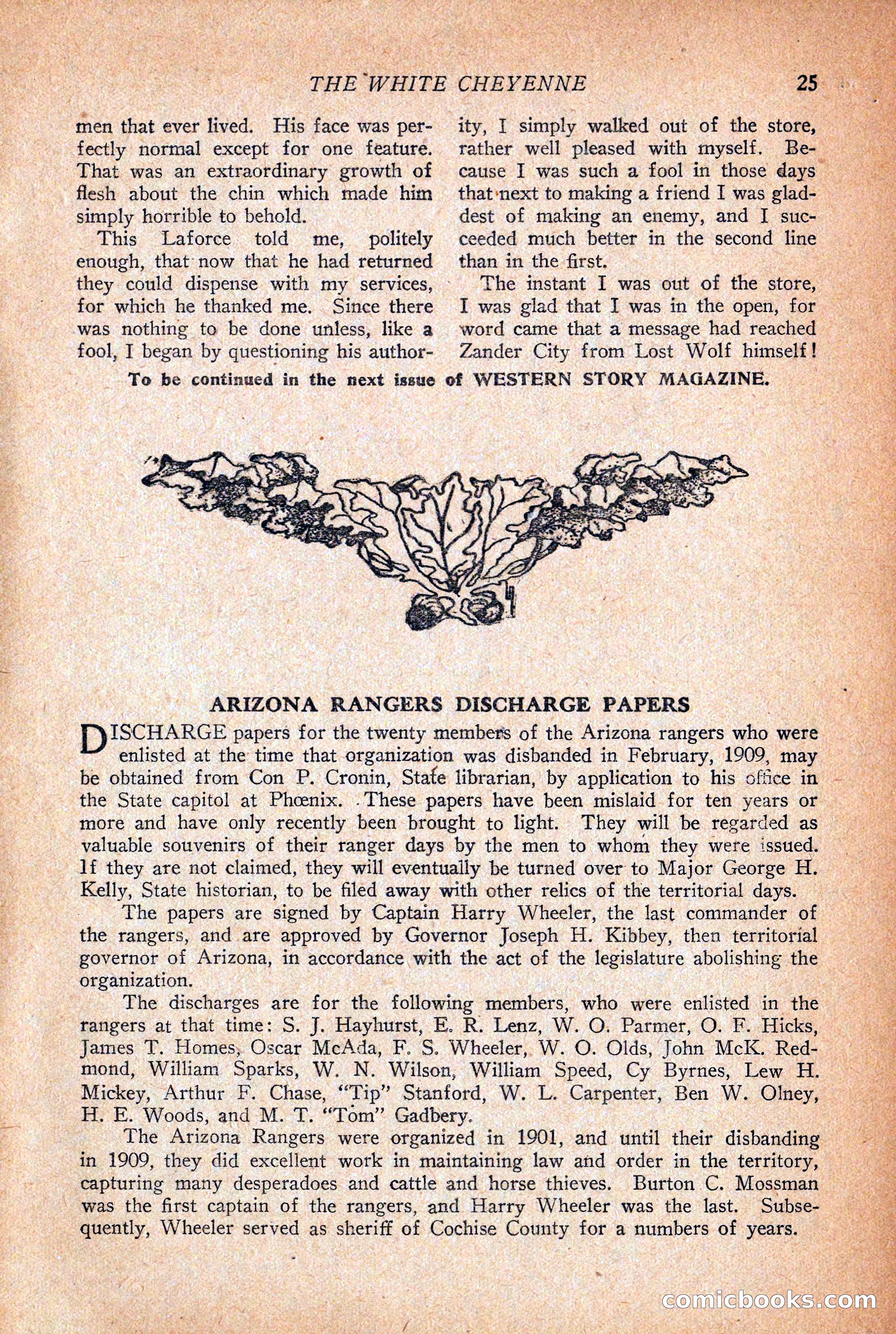 Western Story Magazine, December 12, 1925 — page 27 of 146