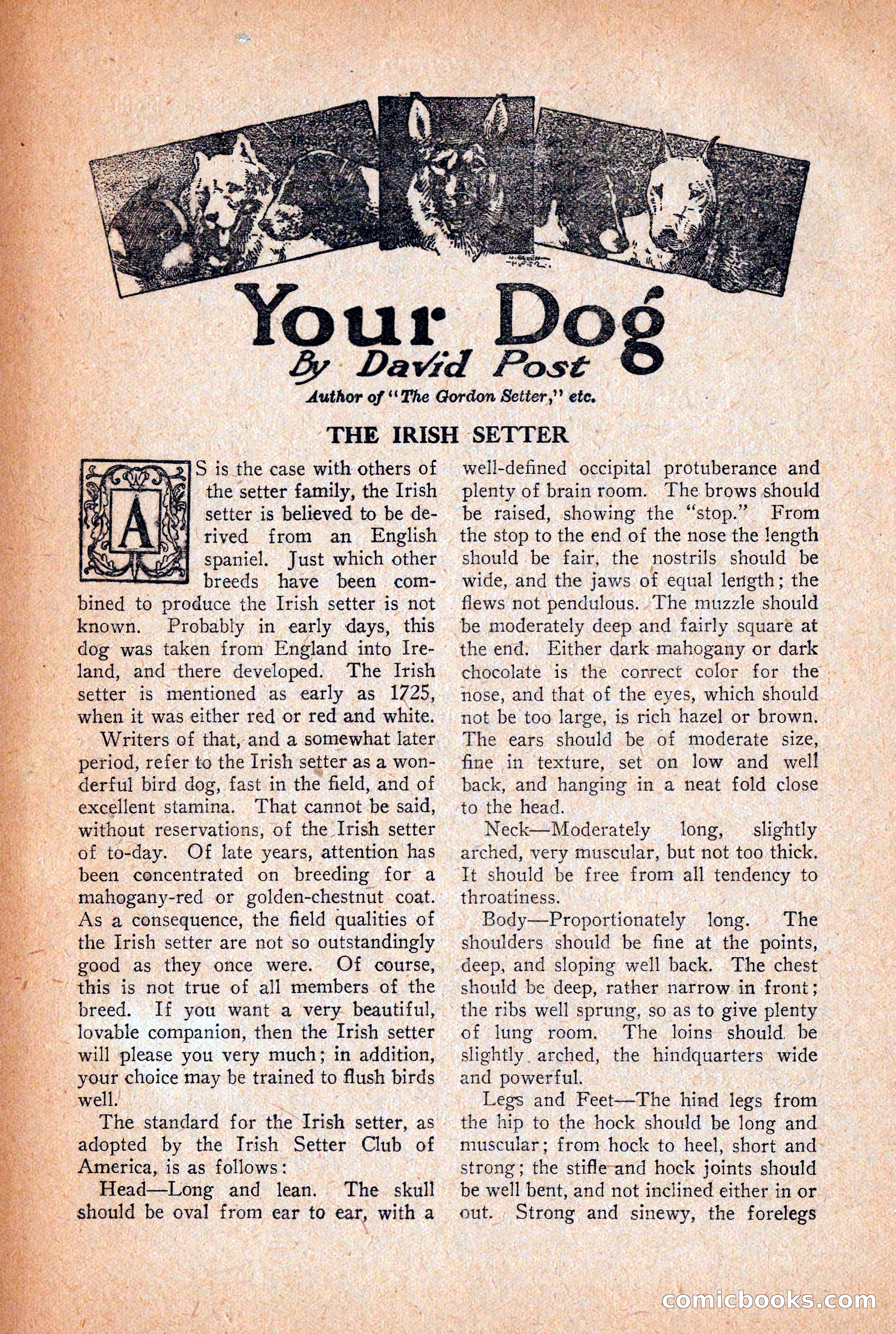 Western Story Magazine, December 12, 1925 — page 106 of 146