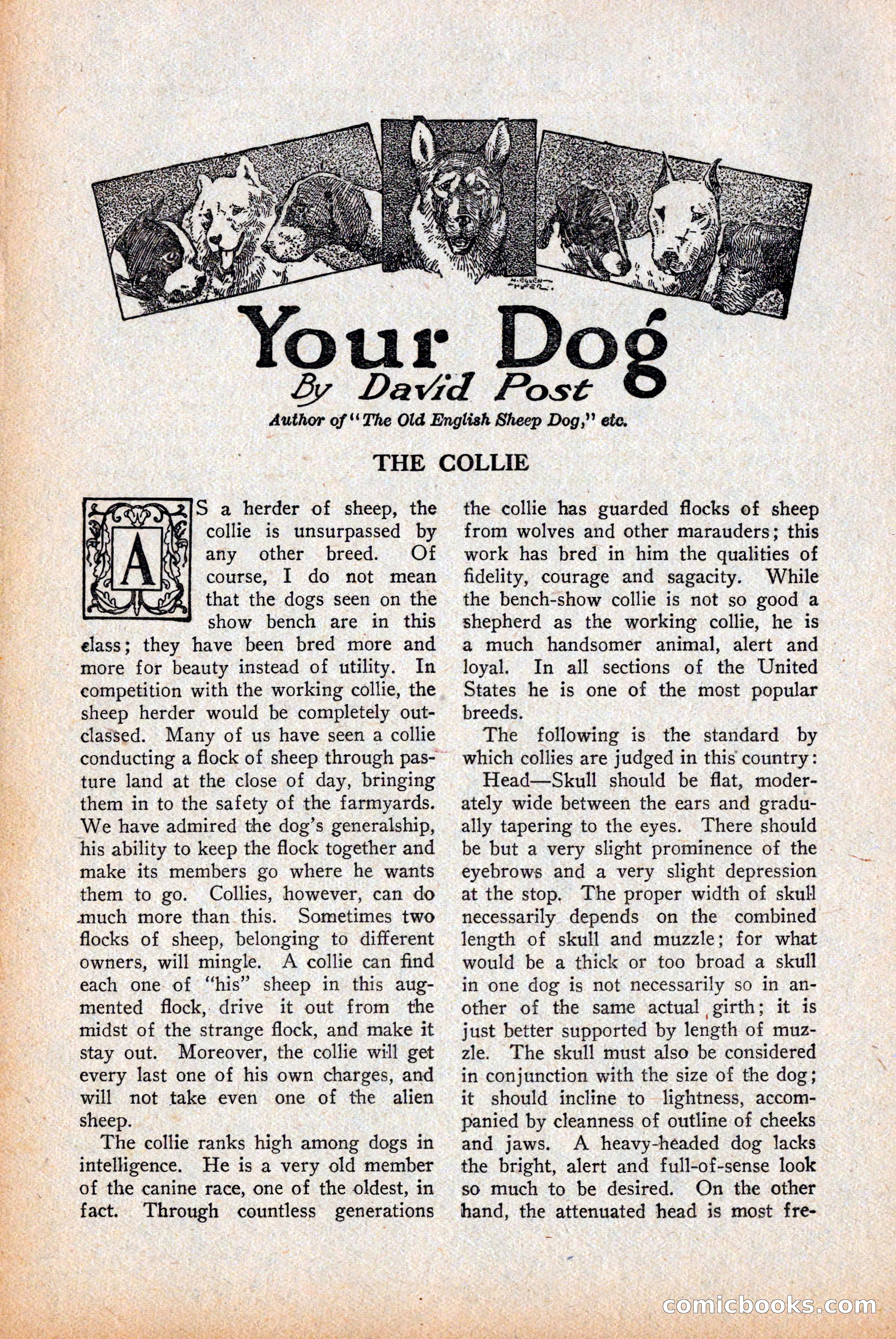 Western Story Magazine — page 106 of 146