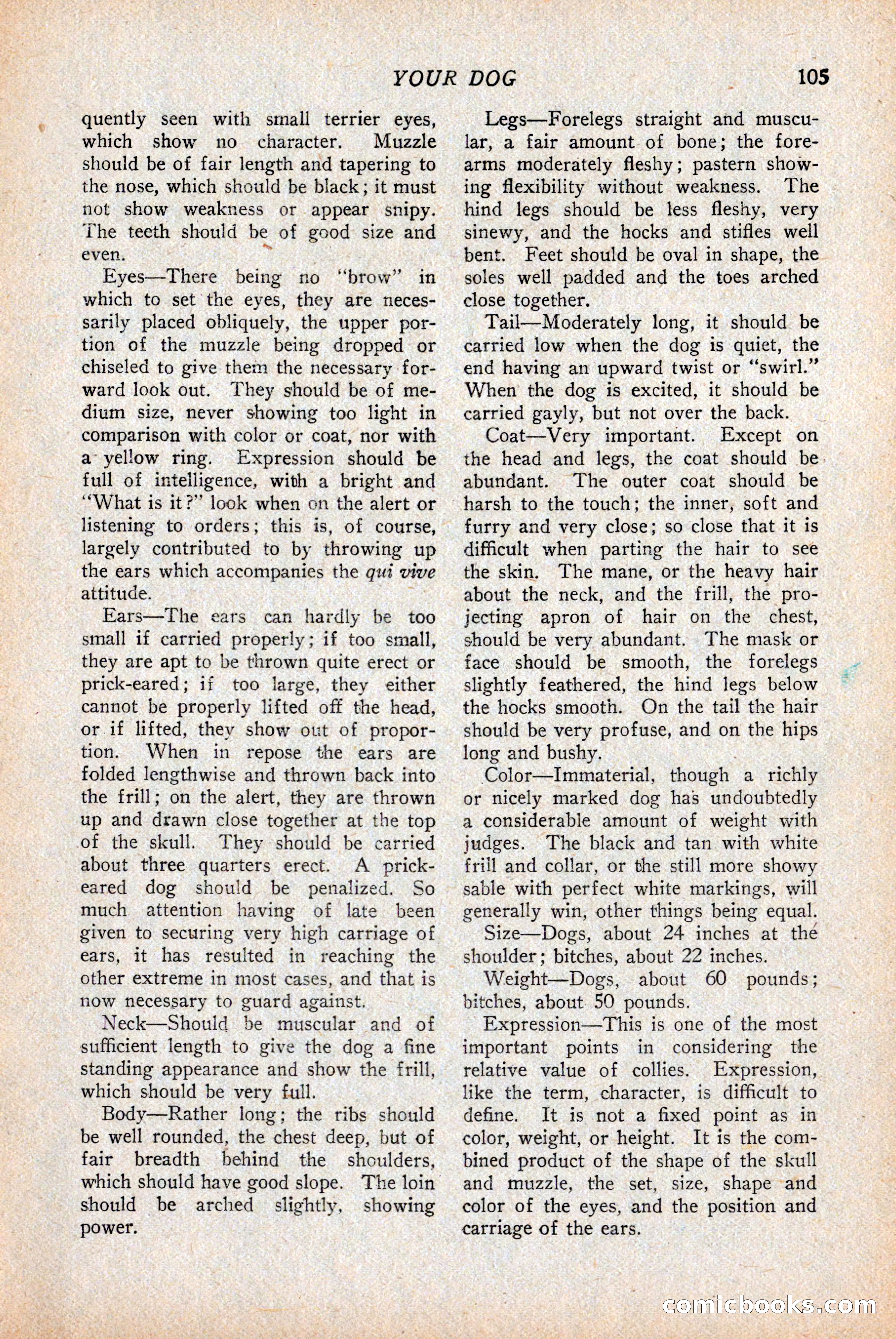 Western Story Magazine — page 107 of 146