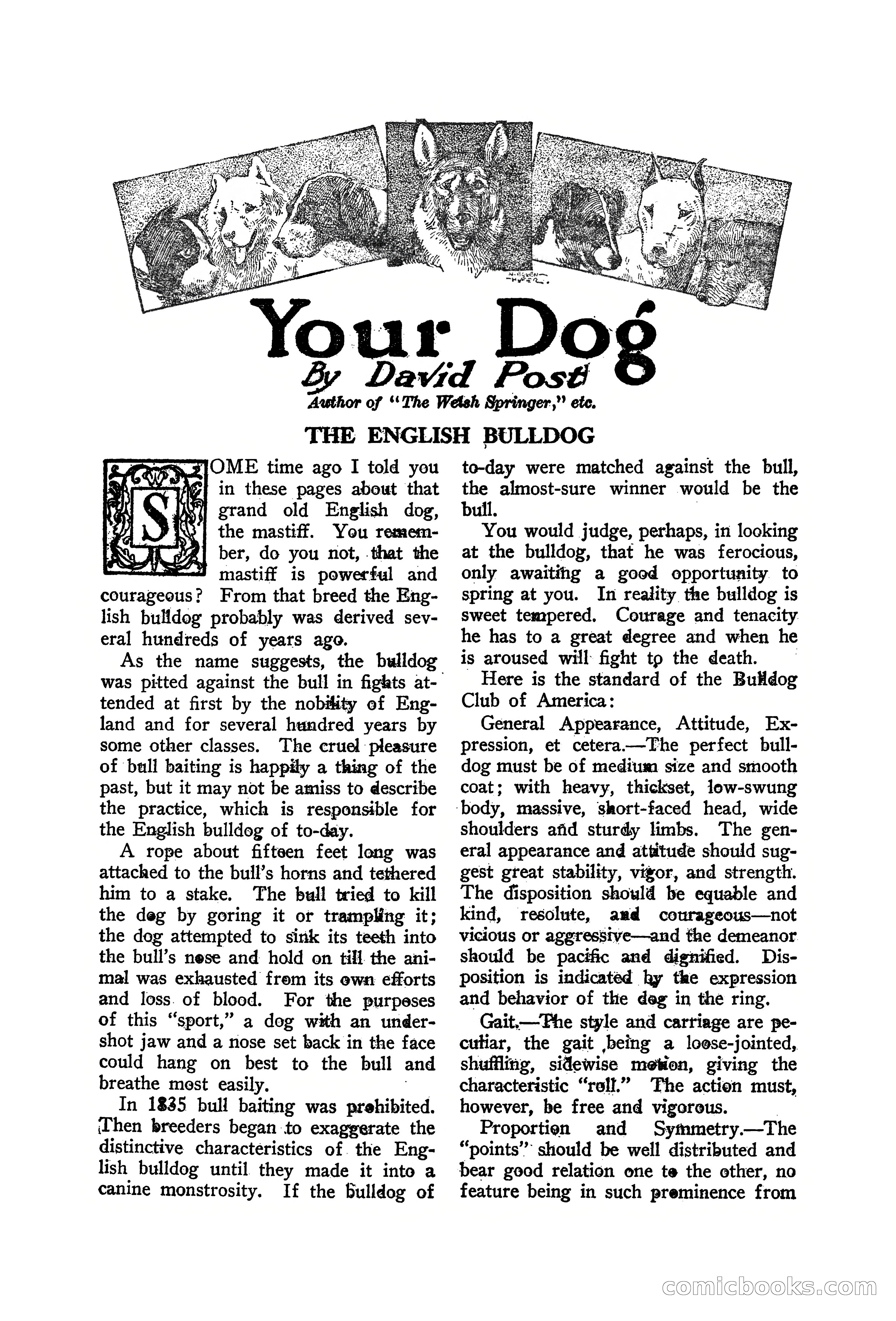 Western Story Magazine, June 19, 1926 — page 101 of 148