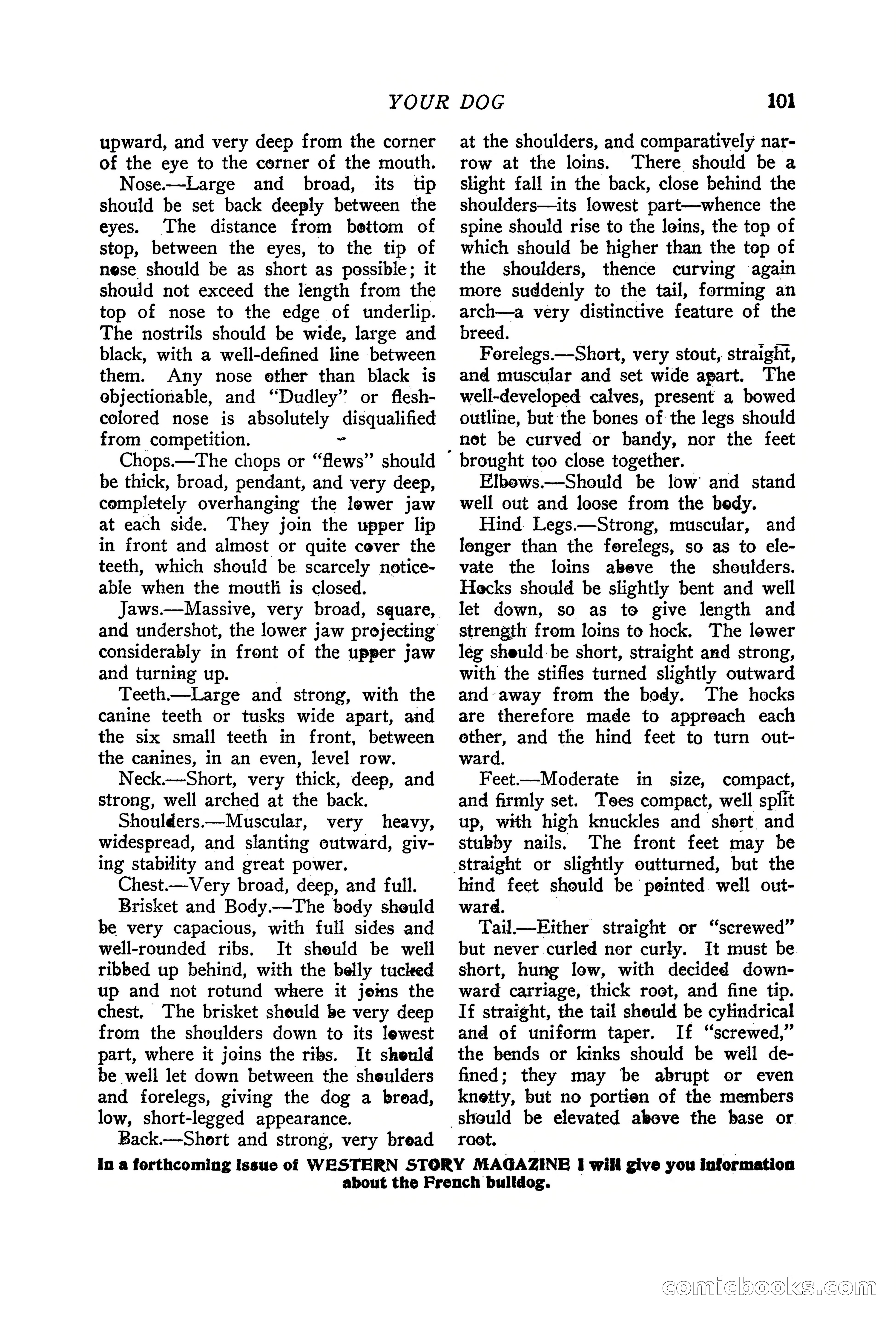 Western Story Magazine, June 19, 1926 — page 103 of 148