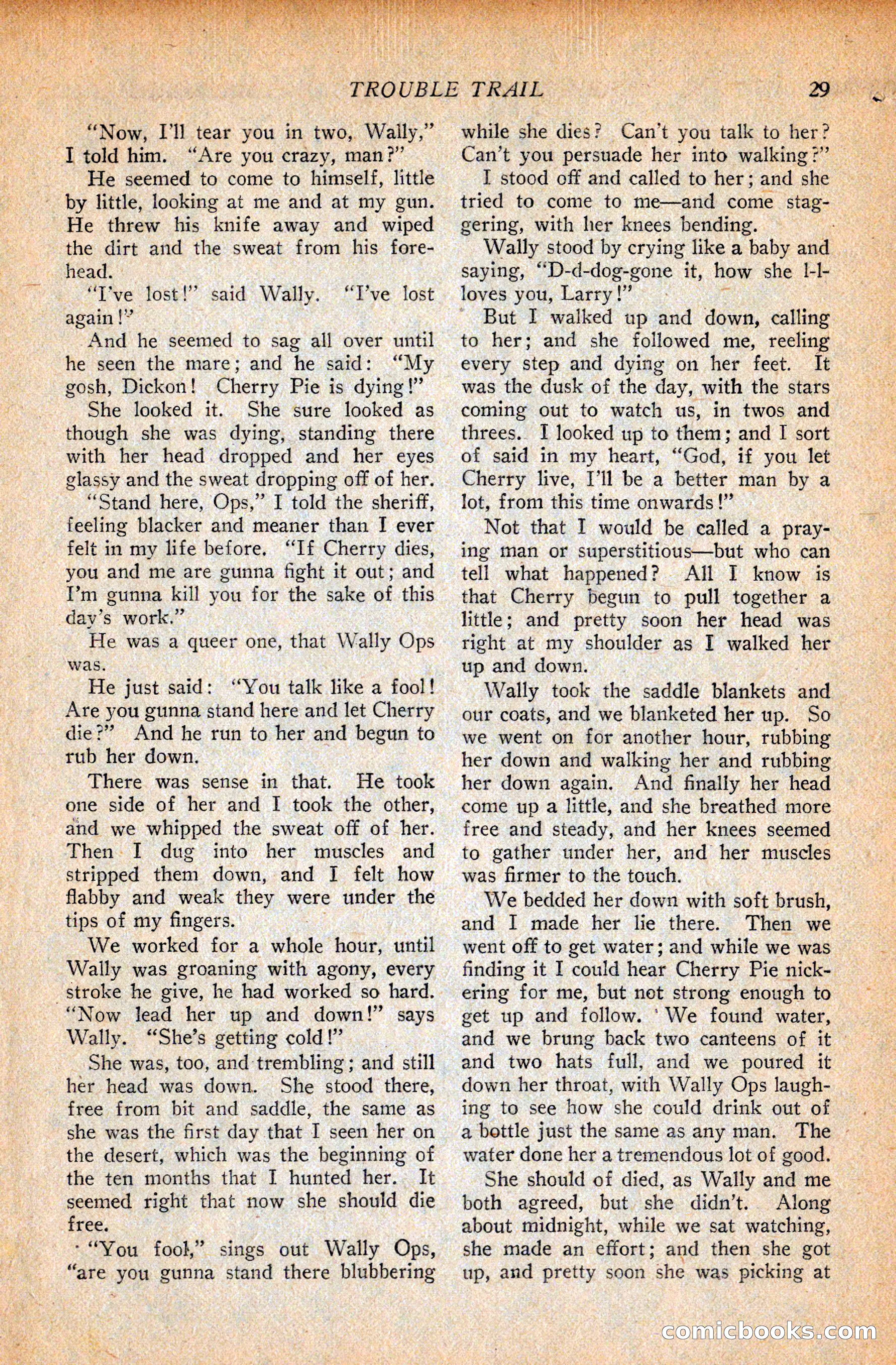 Western Story Magazine, September 11, 1926 — page 31 of 148