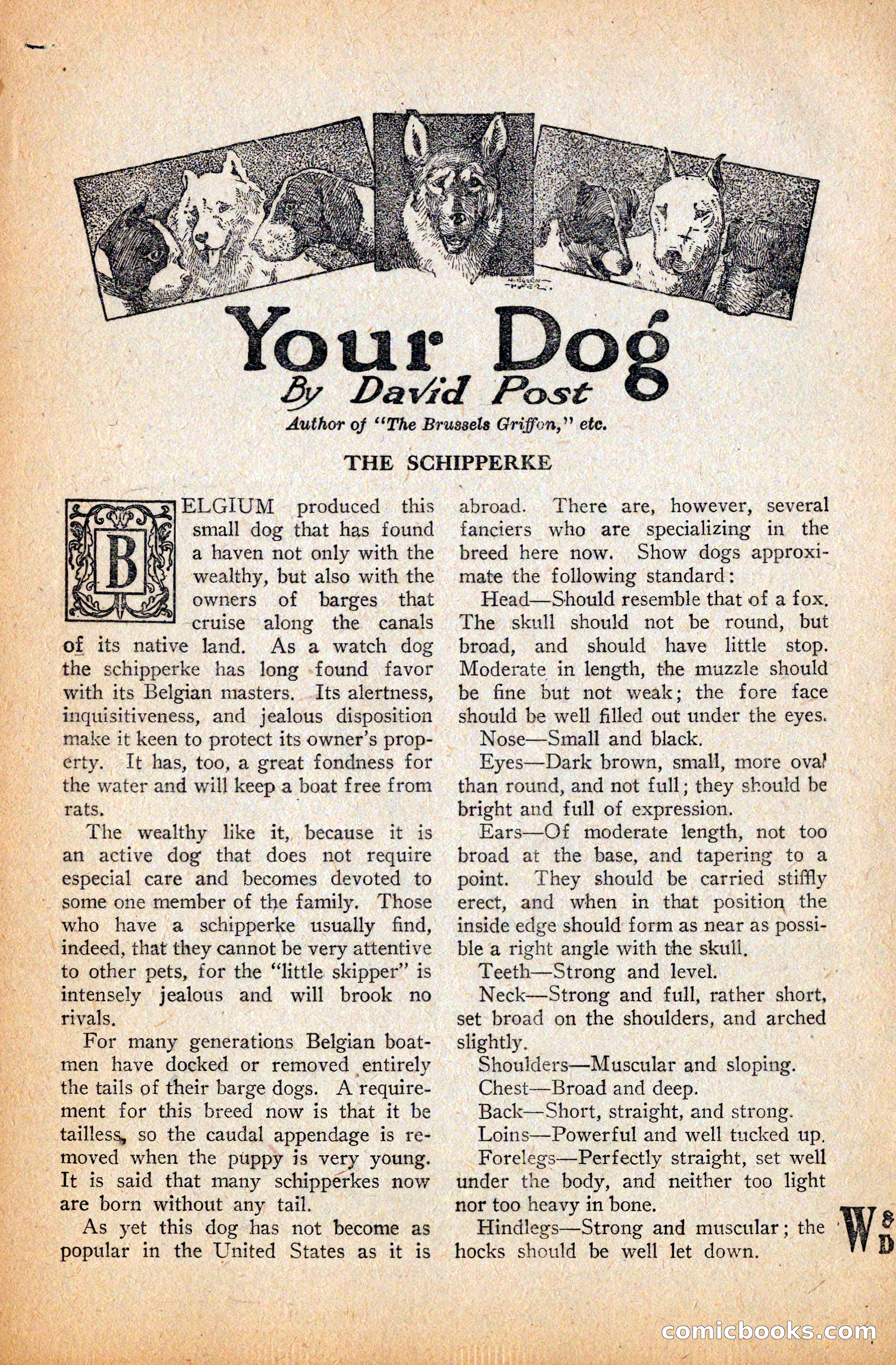 Western Story Magazine, September 11, 1926 — page 130 of 148