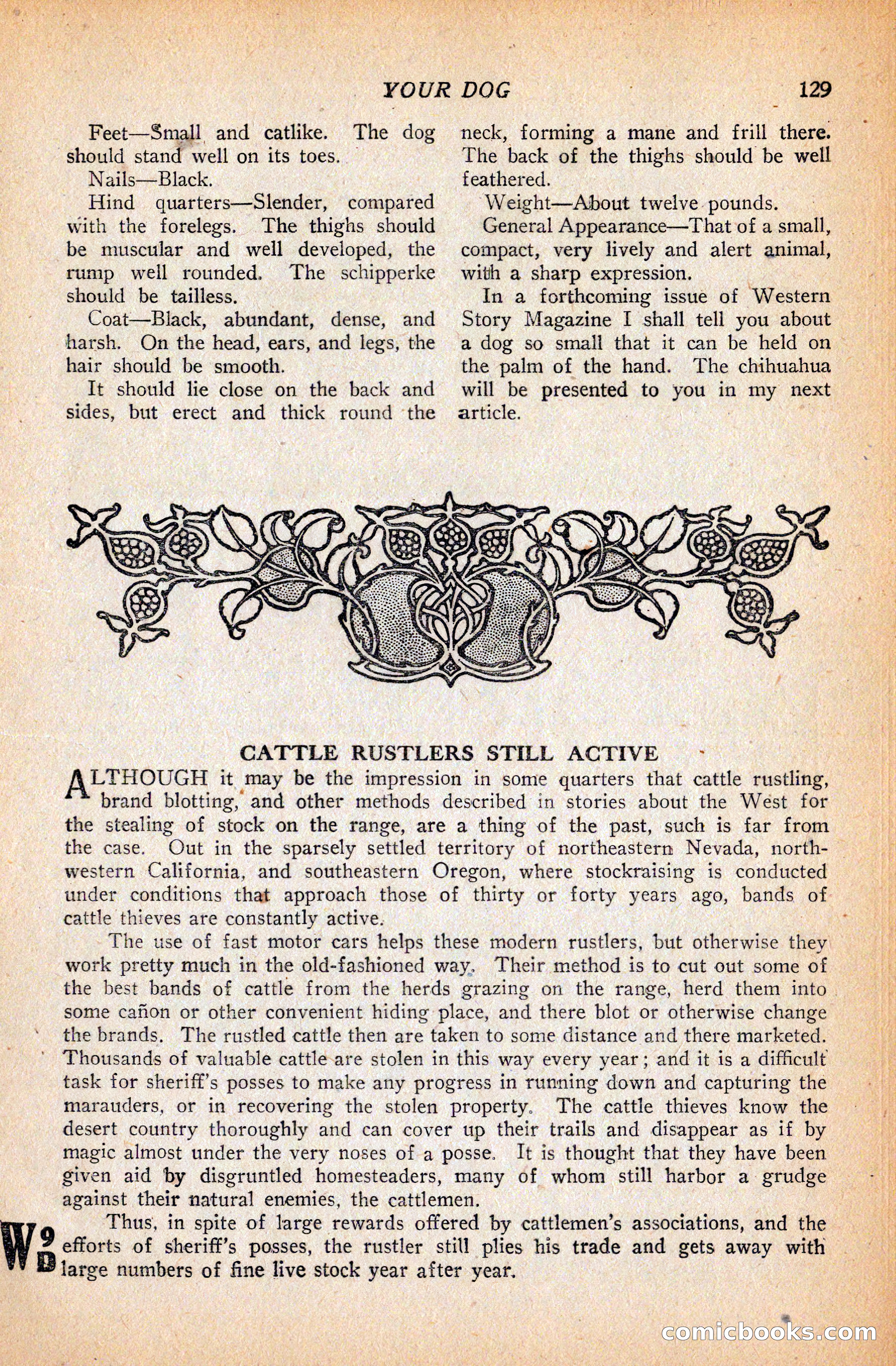 Western Story Magazine, September 11, 1926 — page 131 of 148