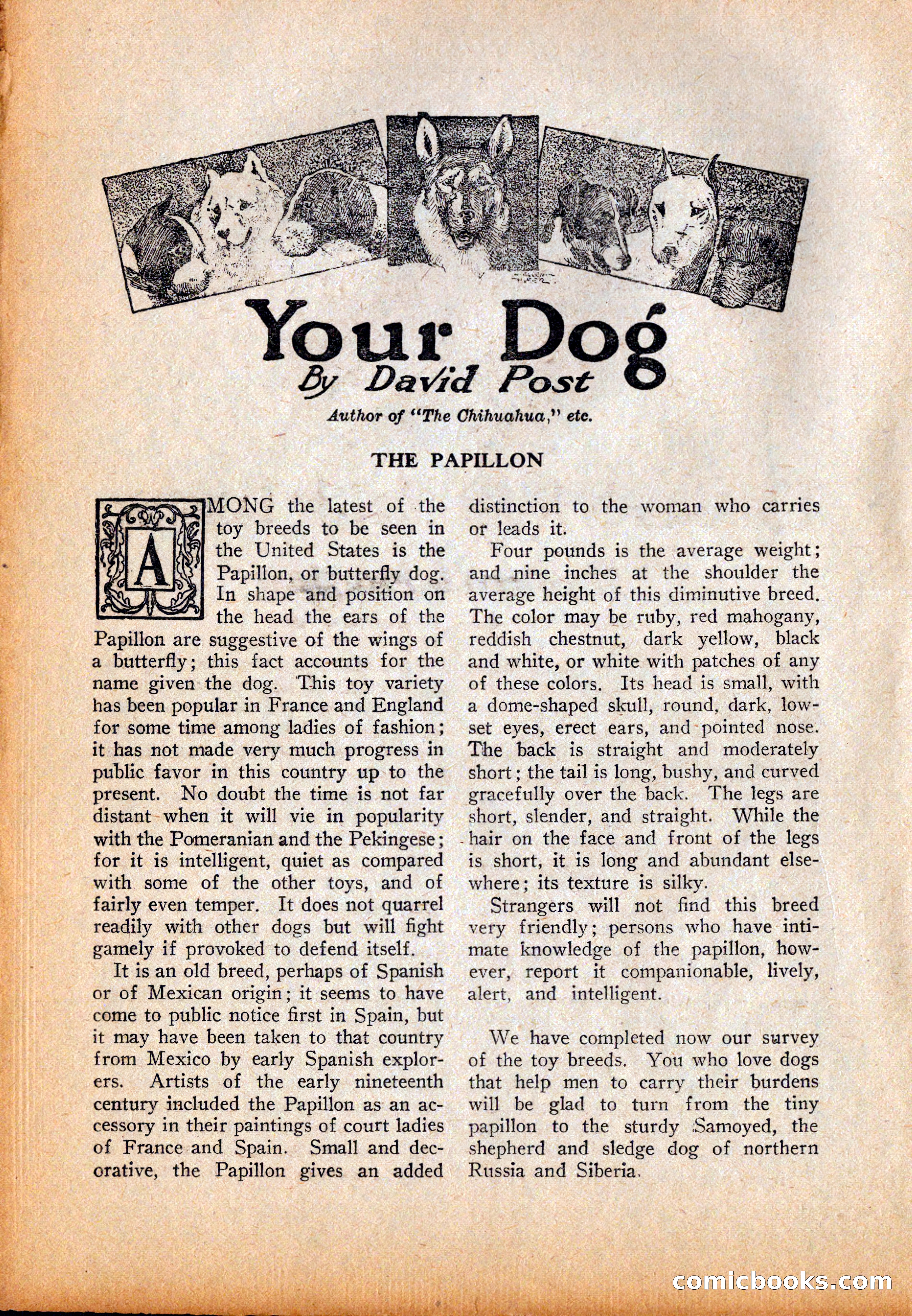 Western Story Magazine, October 2, 1926 — page 106 of 172
