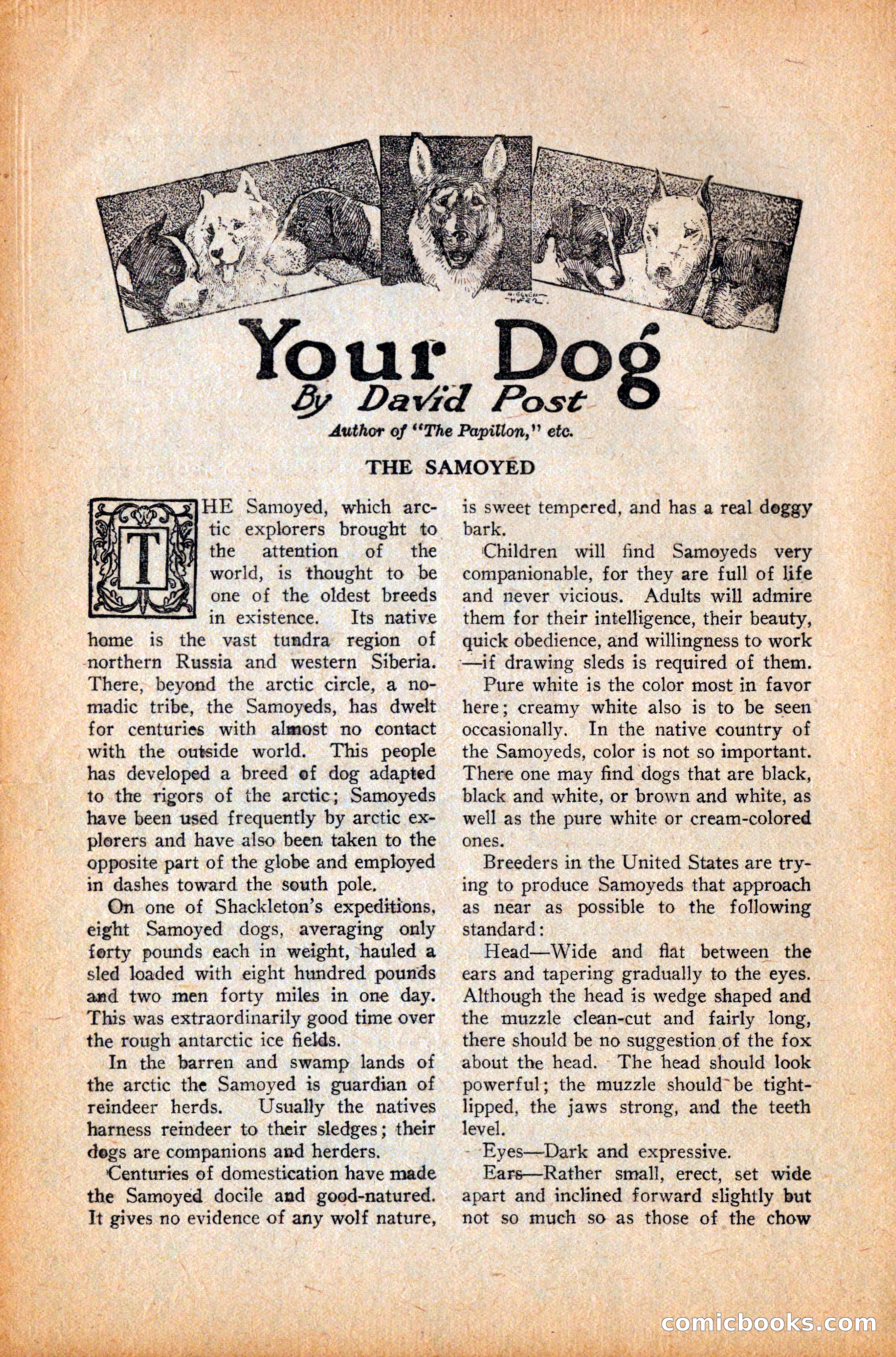 Western Story Magazine, October 9, 1926 — page 134 of 148
