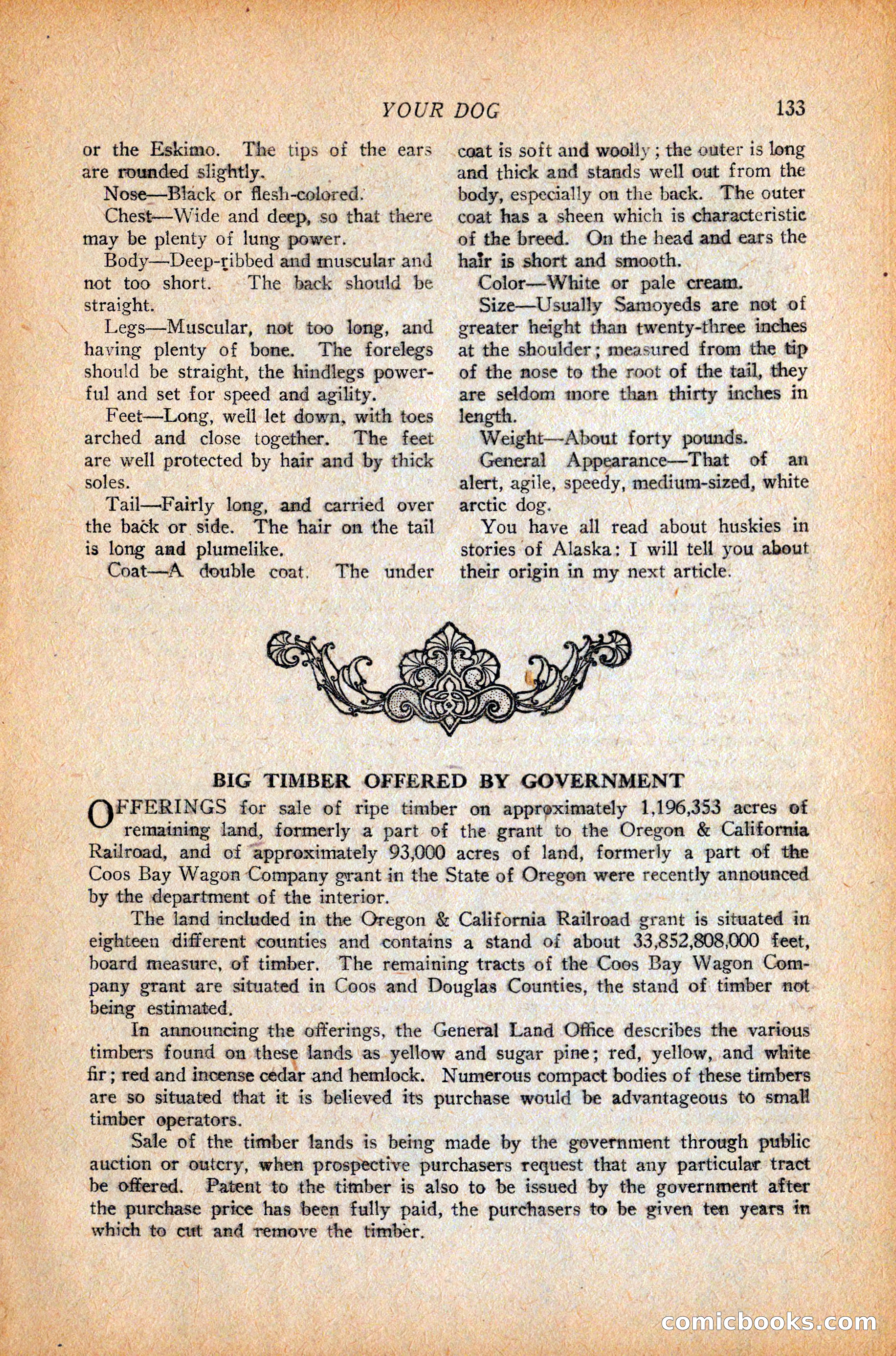 Western Story Magazine, October 9, 1926 — page 135 of 148