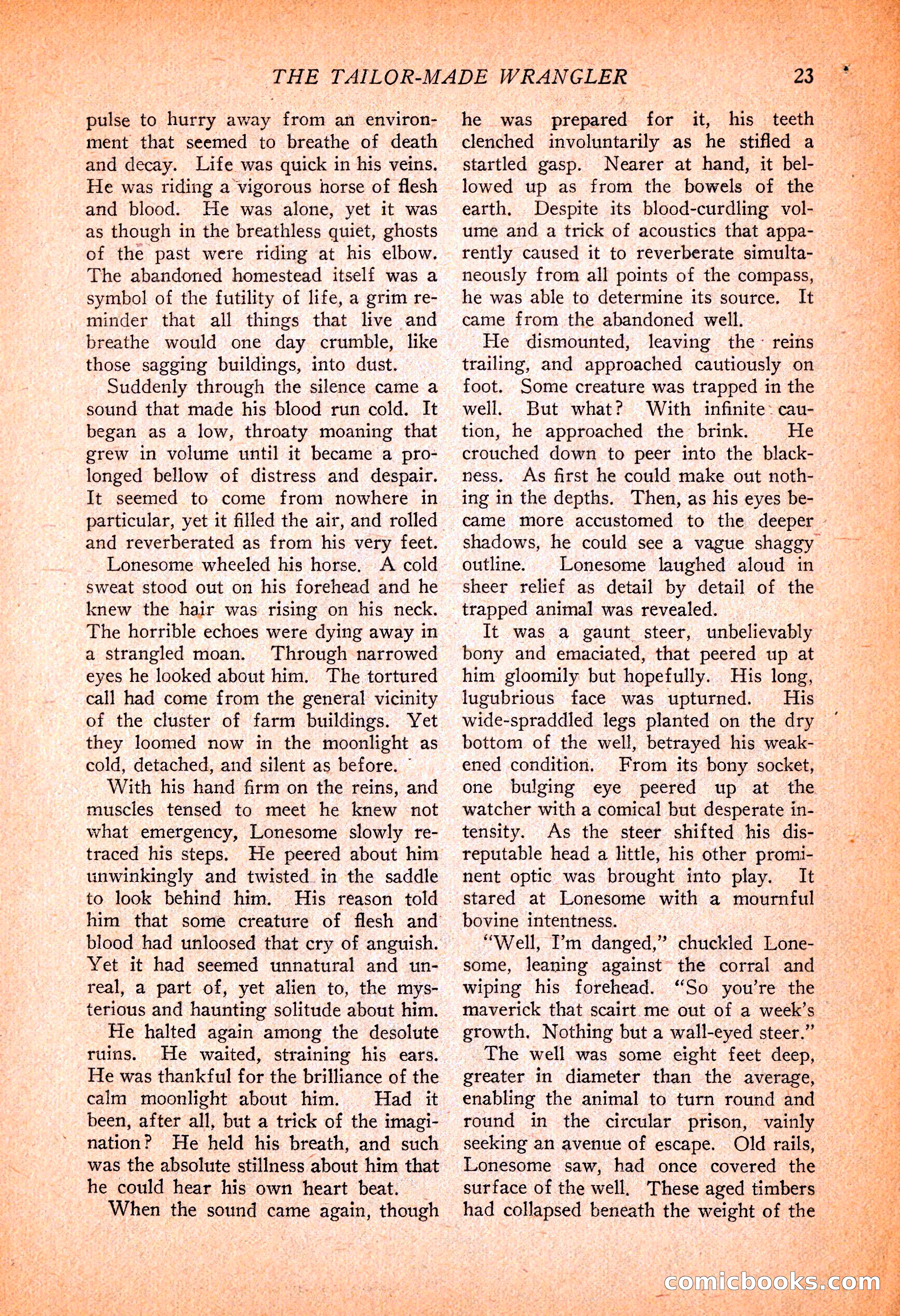 Western Story Magazine, November 13, 1926 — page 25 of 149