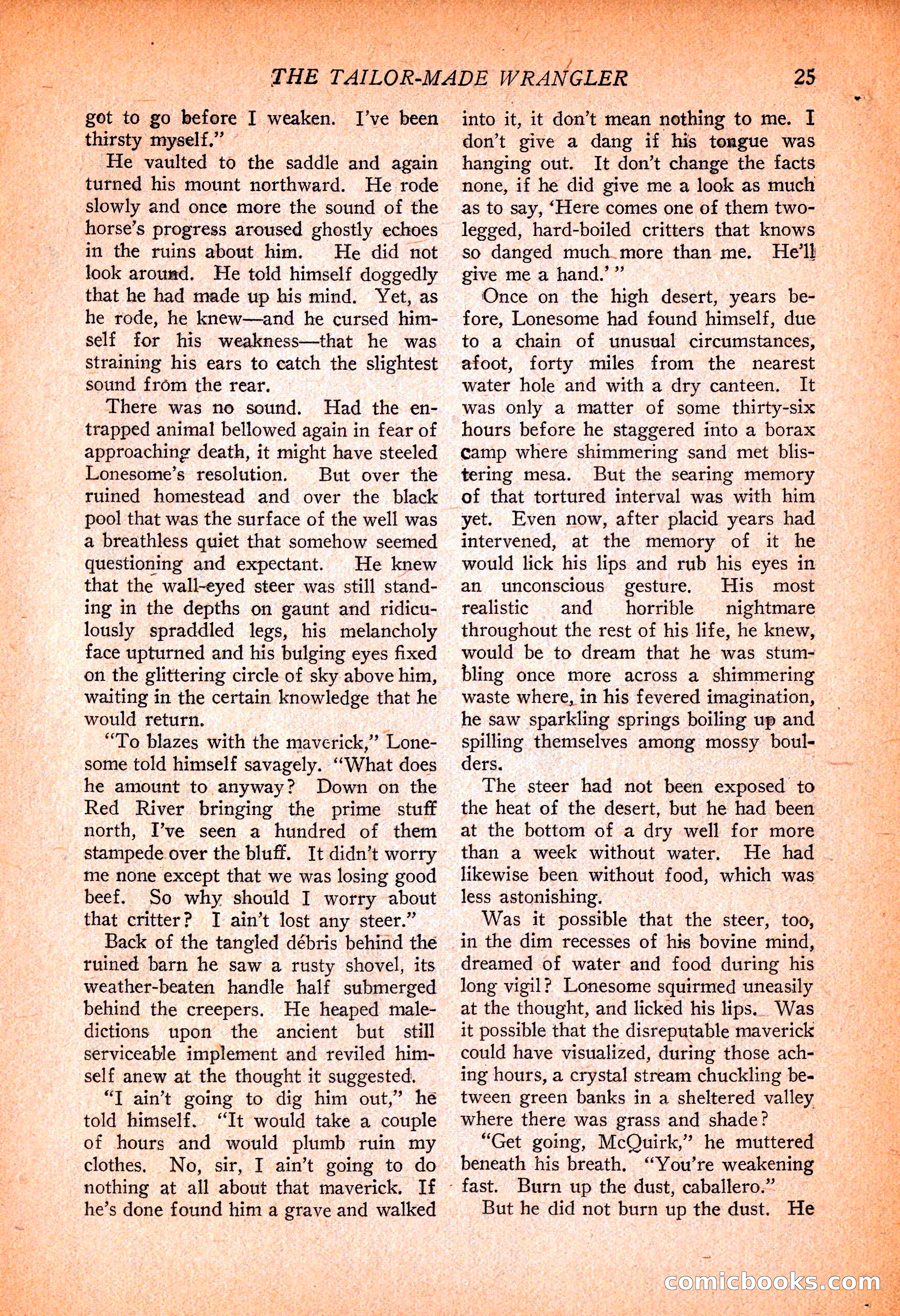 Western Story Magazine, November 13, 1926 — page 27 of 149