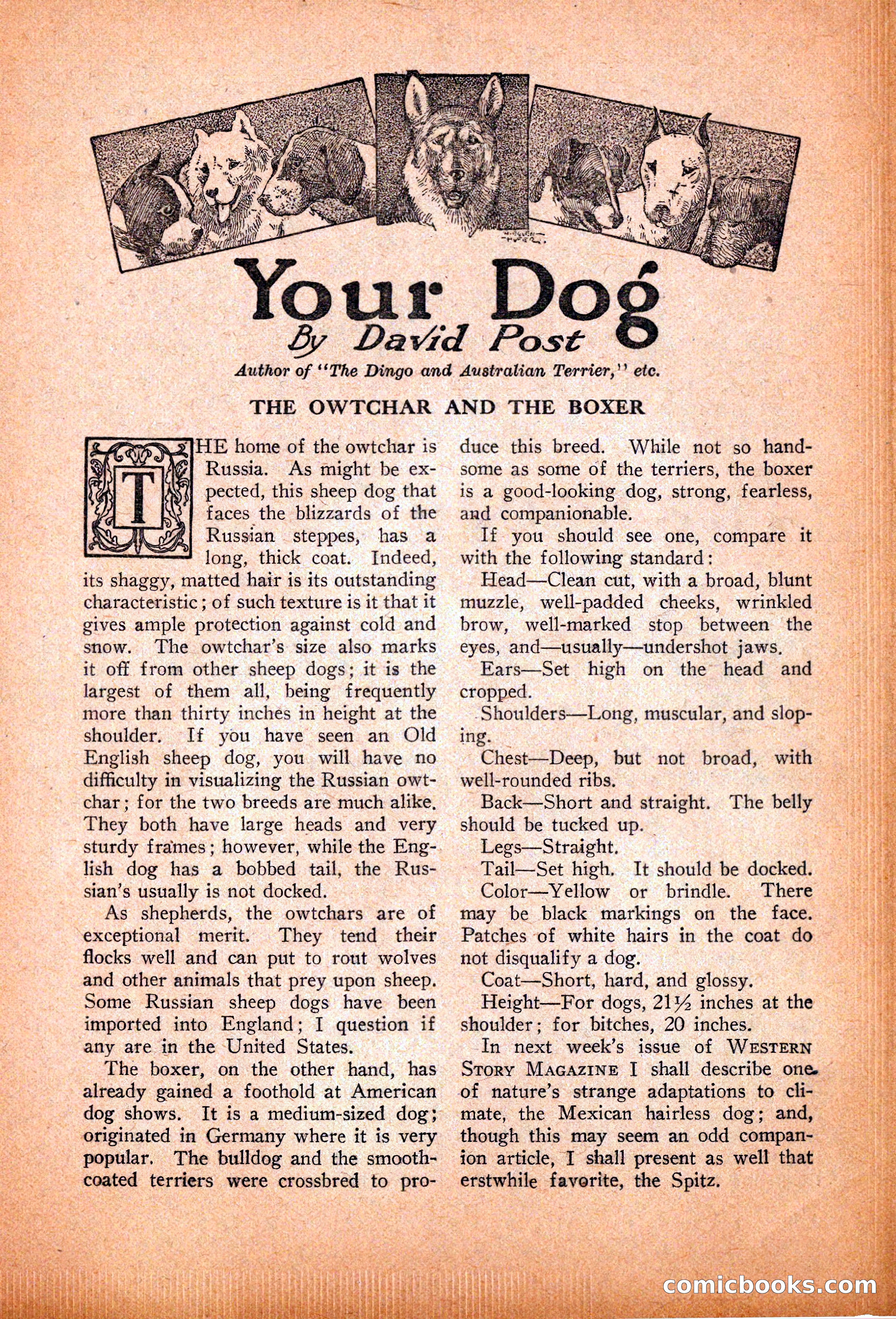 Western Story Magazine, November 13, 1926 — page 117 of 149