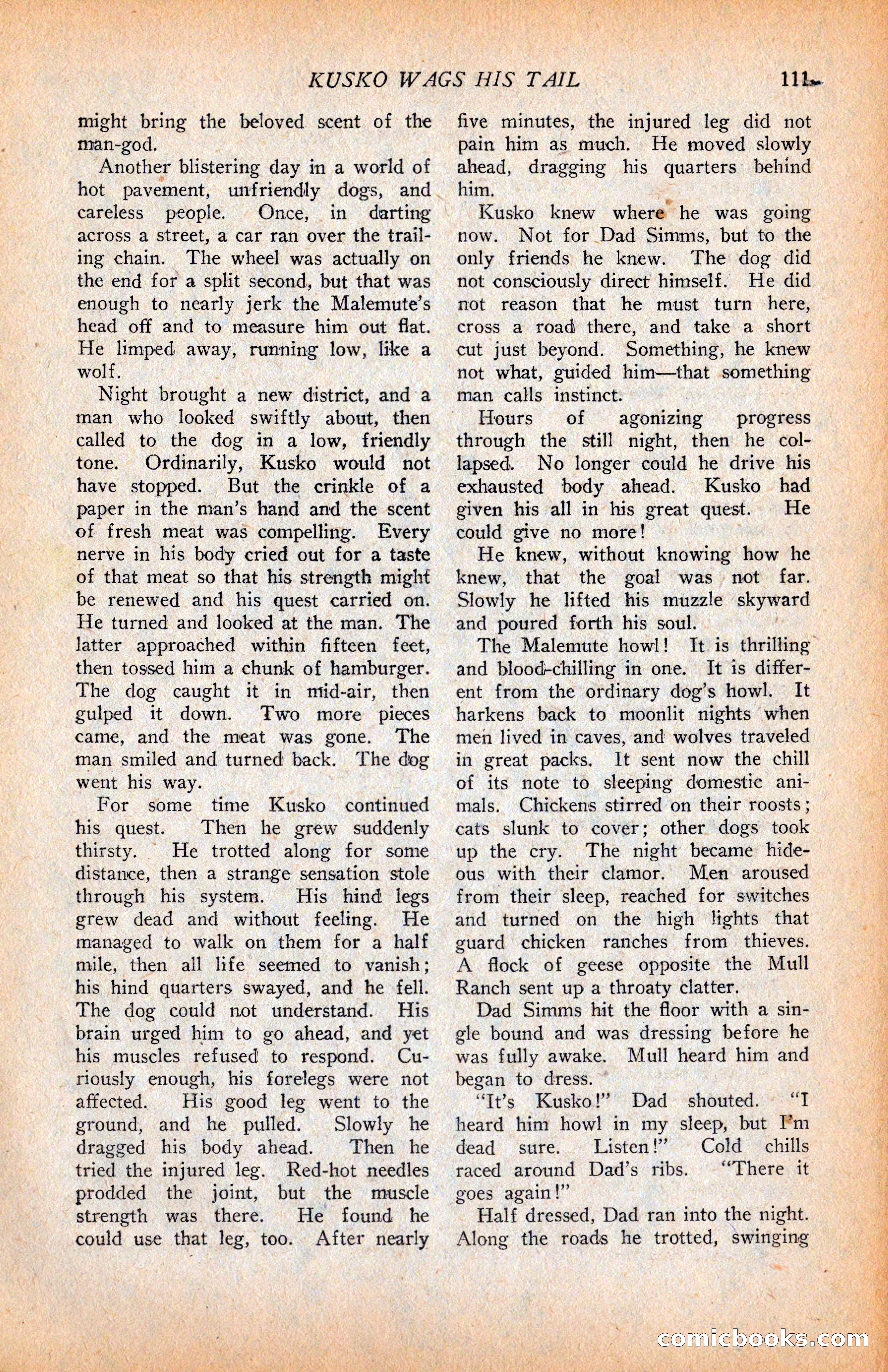 Western Story Magazine, June 9, 1928 — page 113 of 148
