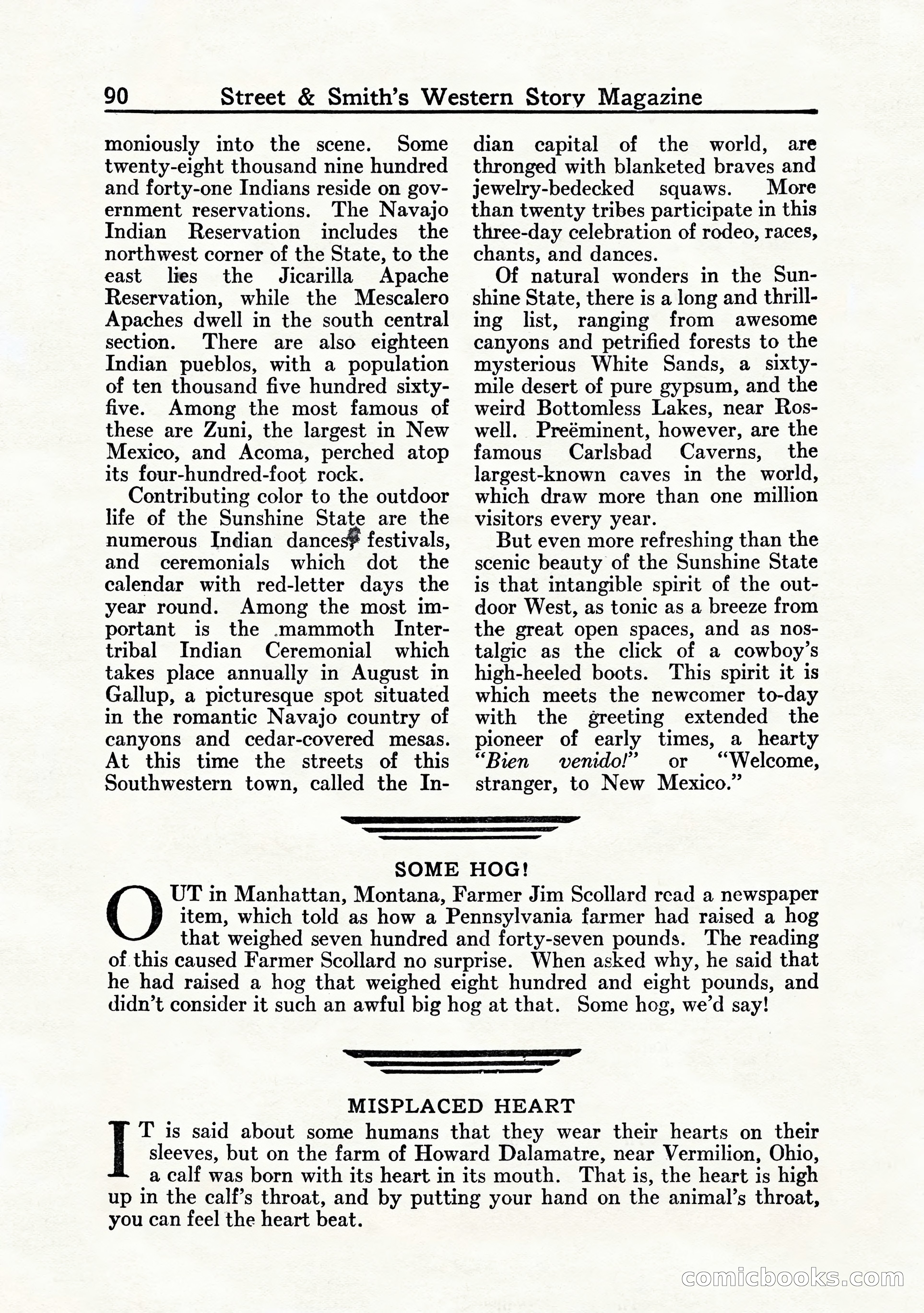 Western Story Magazine, July 1935 — page 92 of 148