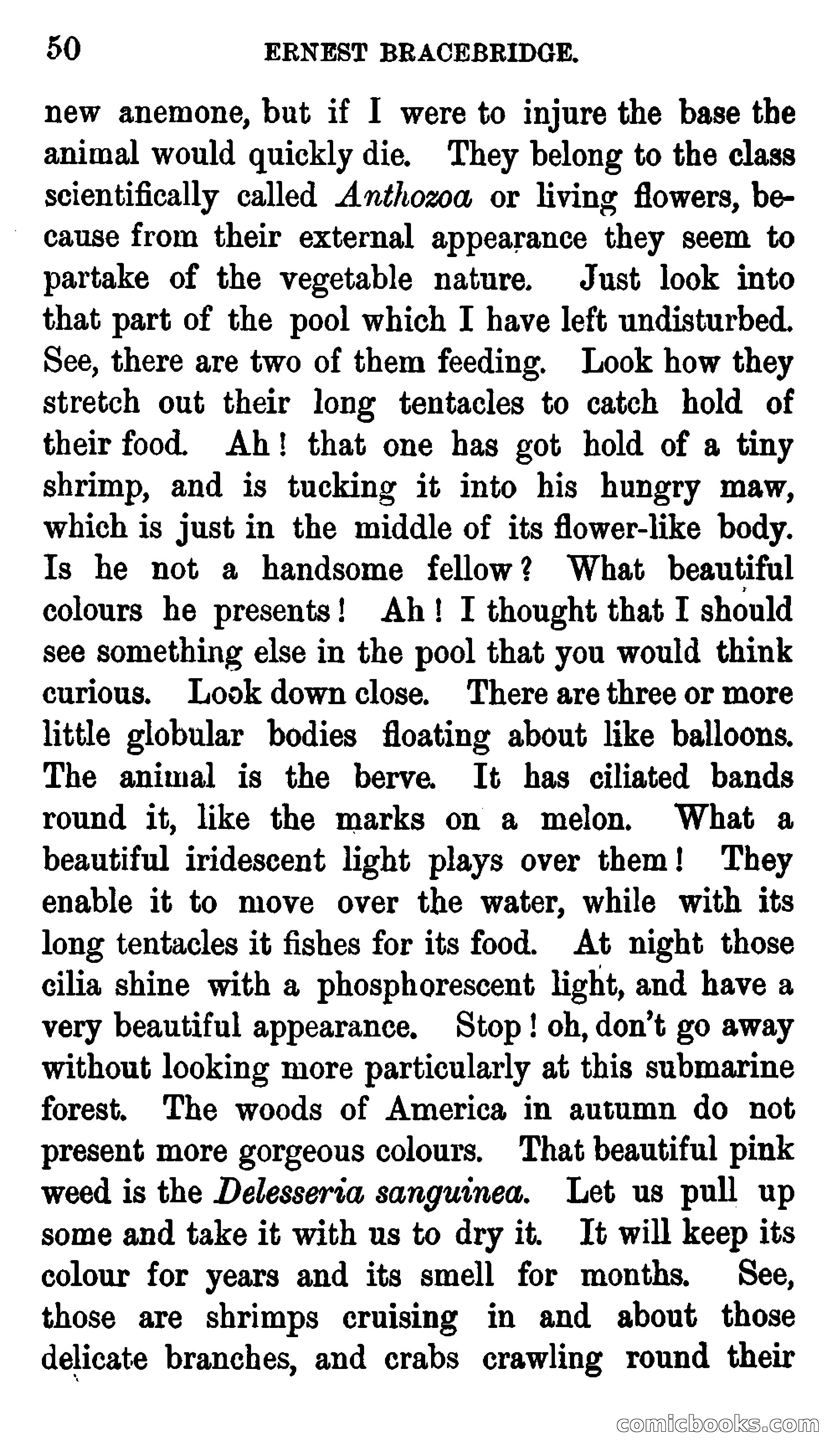 Ernest Bracebridge; or, Schoolboy Days — page 48 of 382