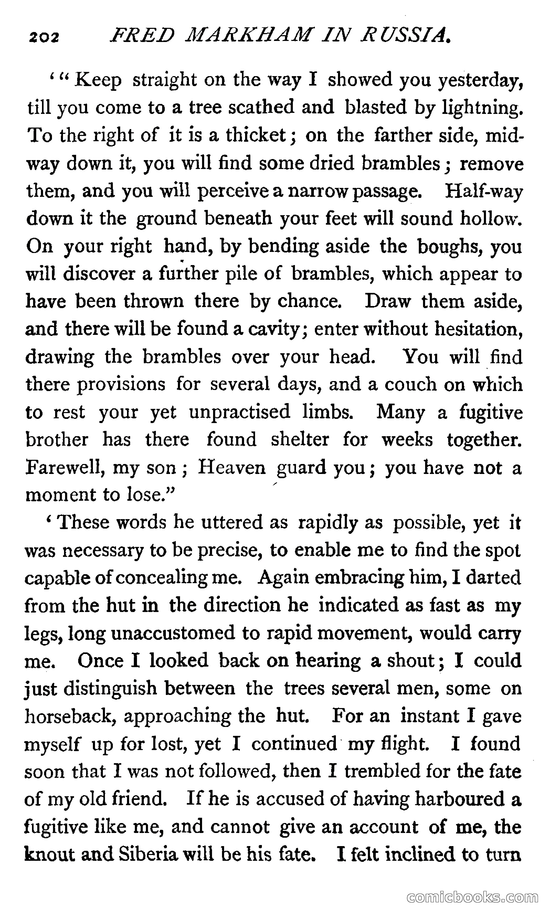 Fred Markham in Russia; or, The Boy Travellers in the Land of the Czar — page 206 of 324