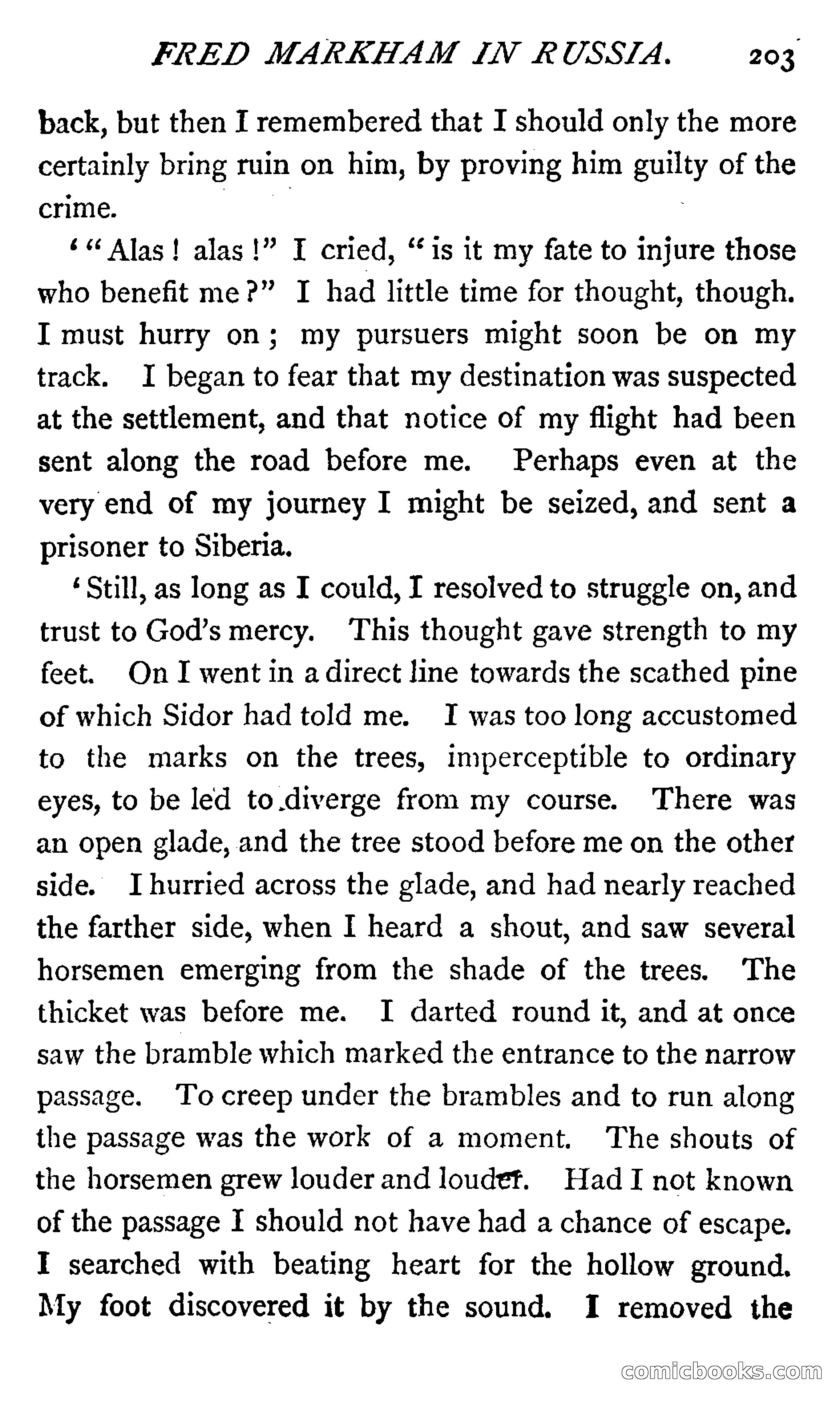 Fred Markham in Russia; or, The Boy Travellers in the Land of the Czar — page 207 of 324