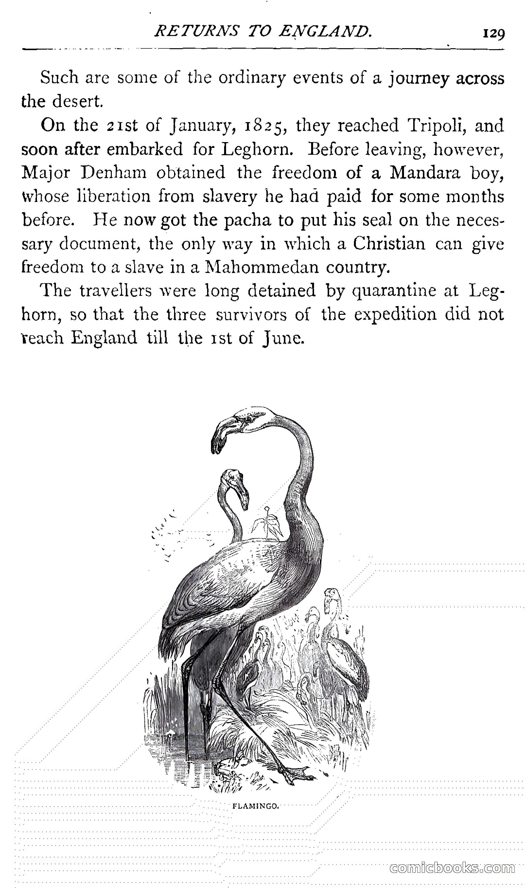 Great African Travellers — page 139 of 160