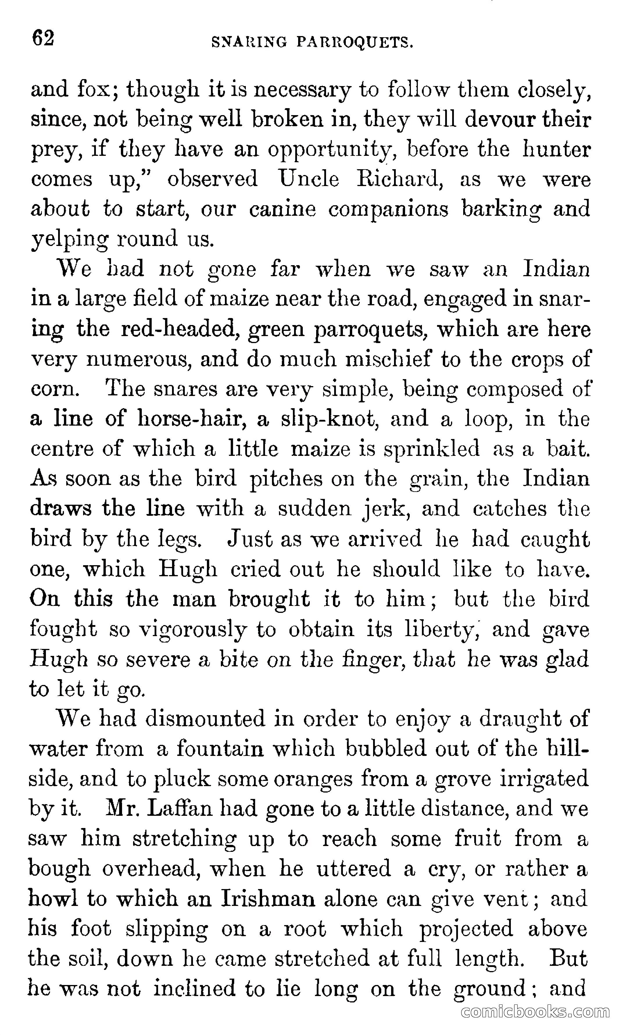 Don Juan's Volunteers — page 58 of 364