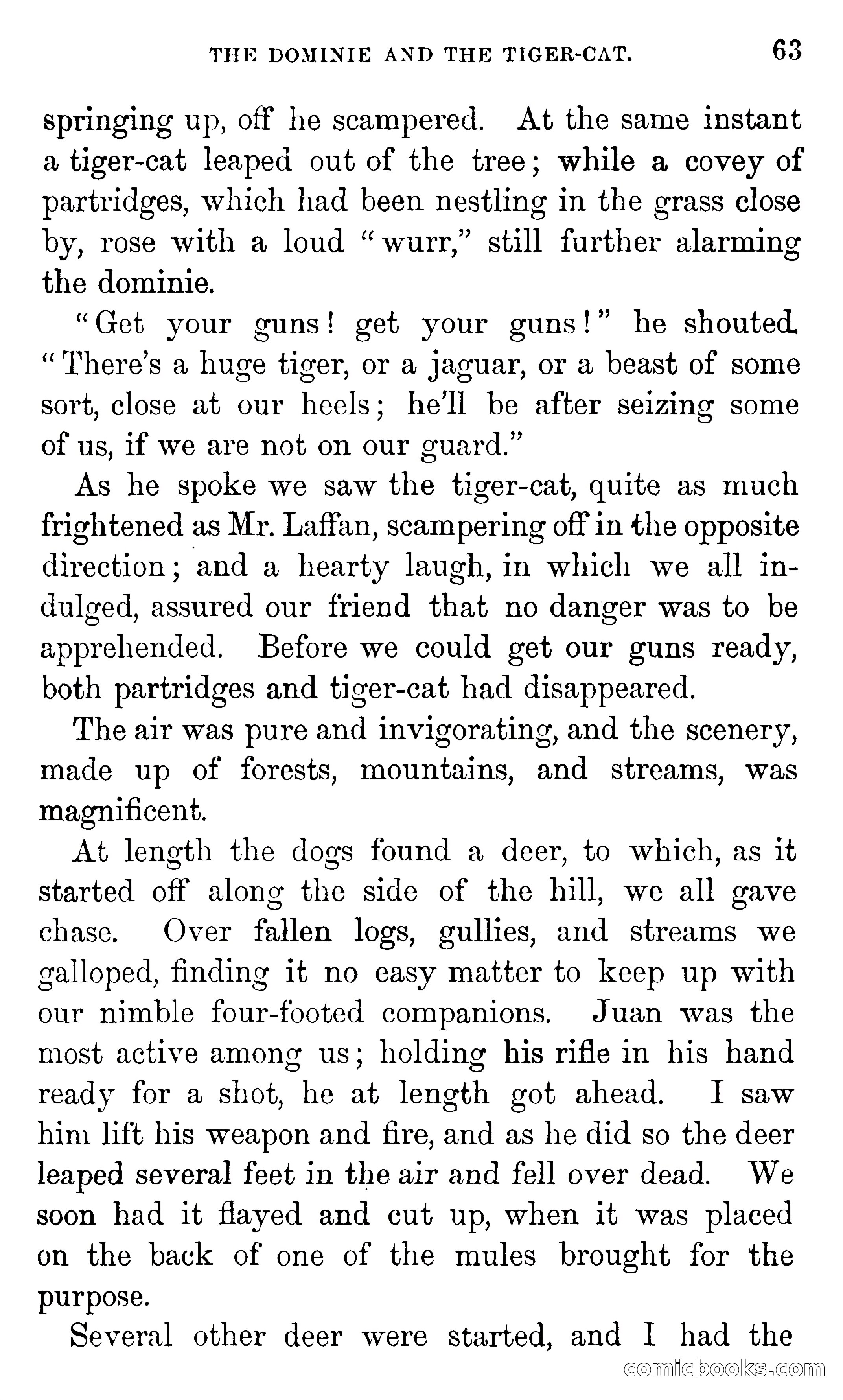 Don Juan's Volunteers — page 59 of 364