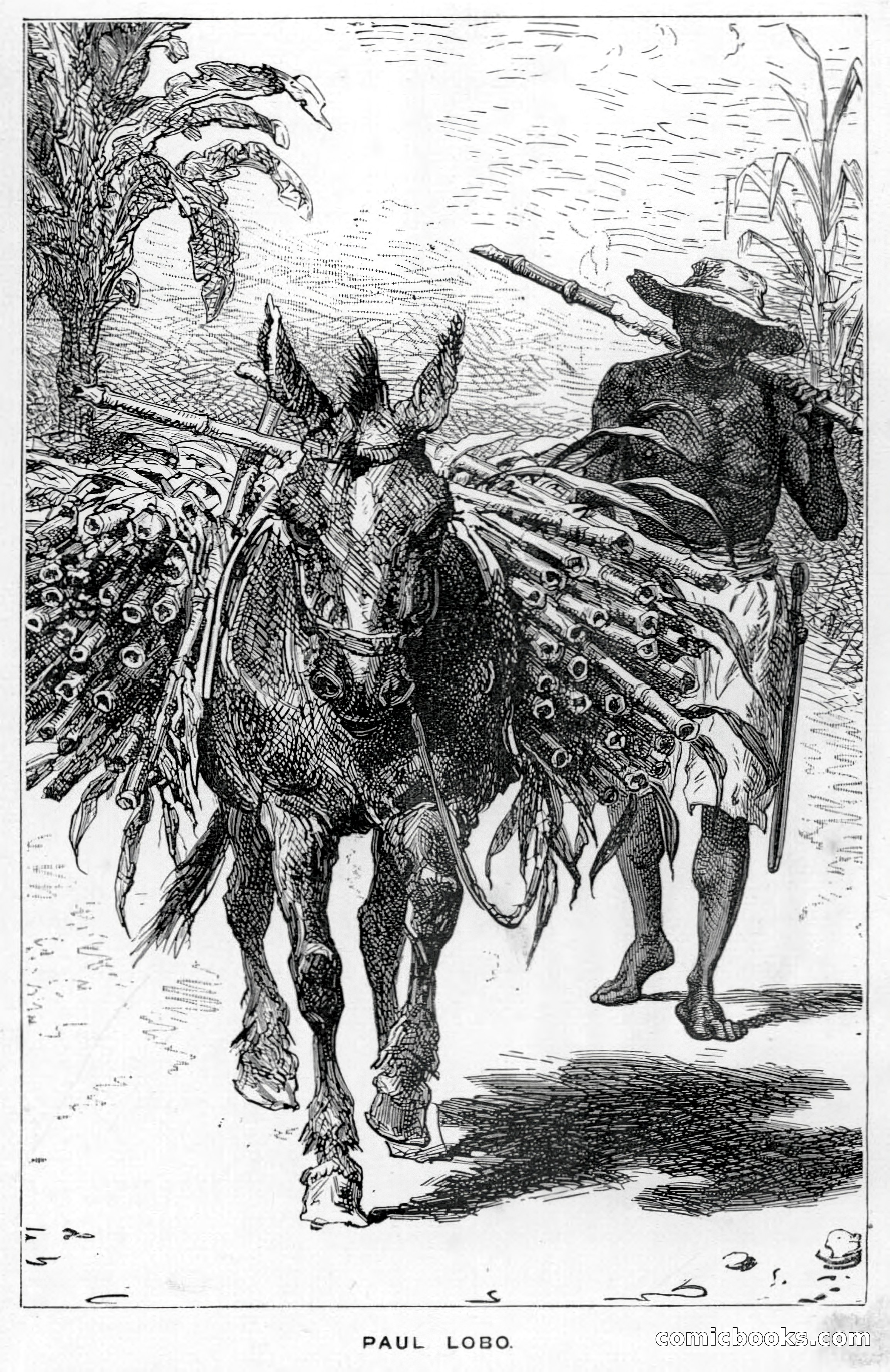 Don Juan's Volunteers — page 159 of 364