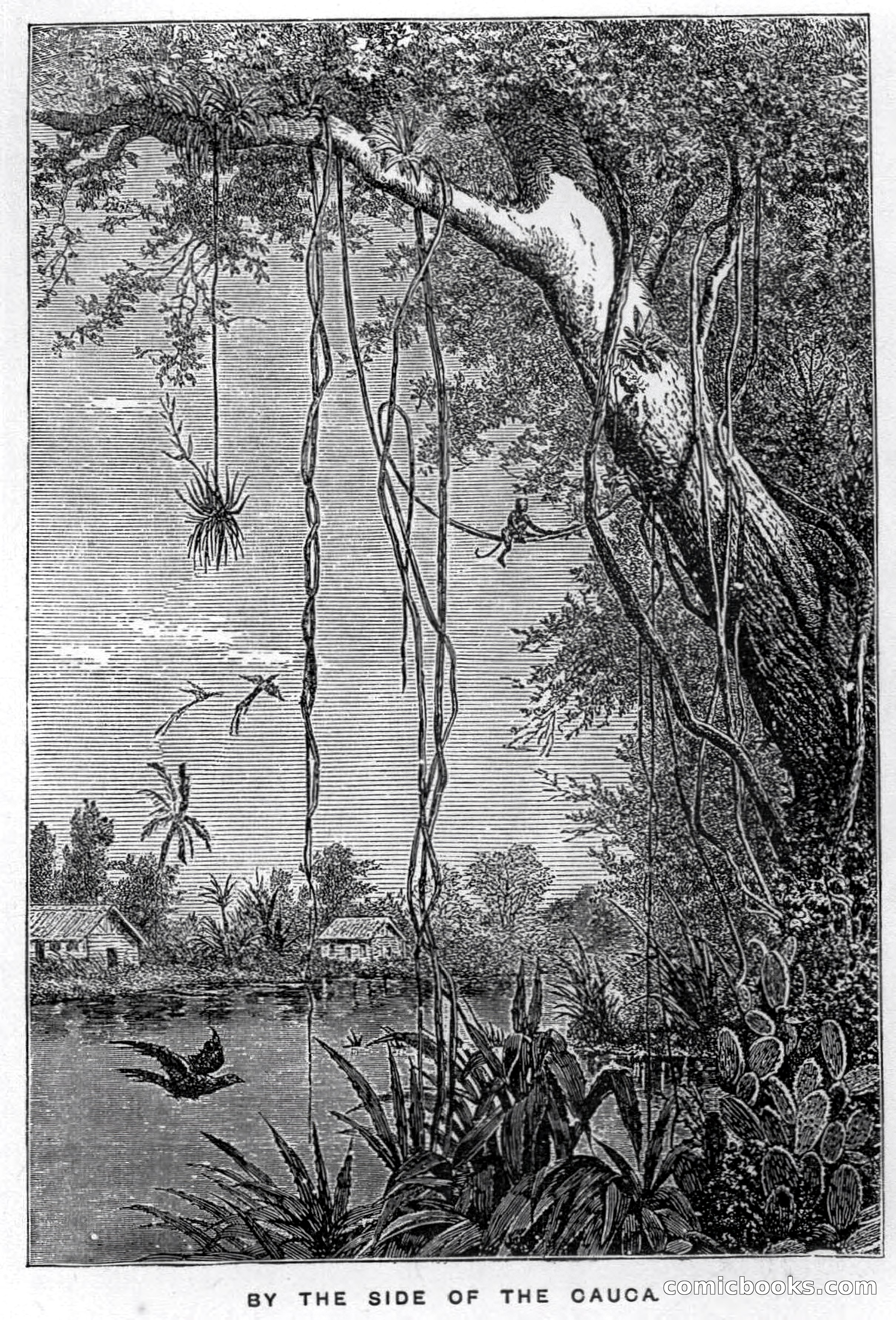 Don Juan's Volunteers — page 185 of 364