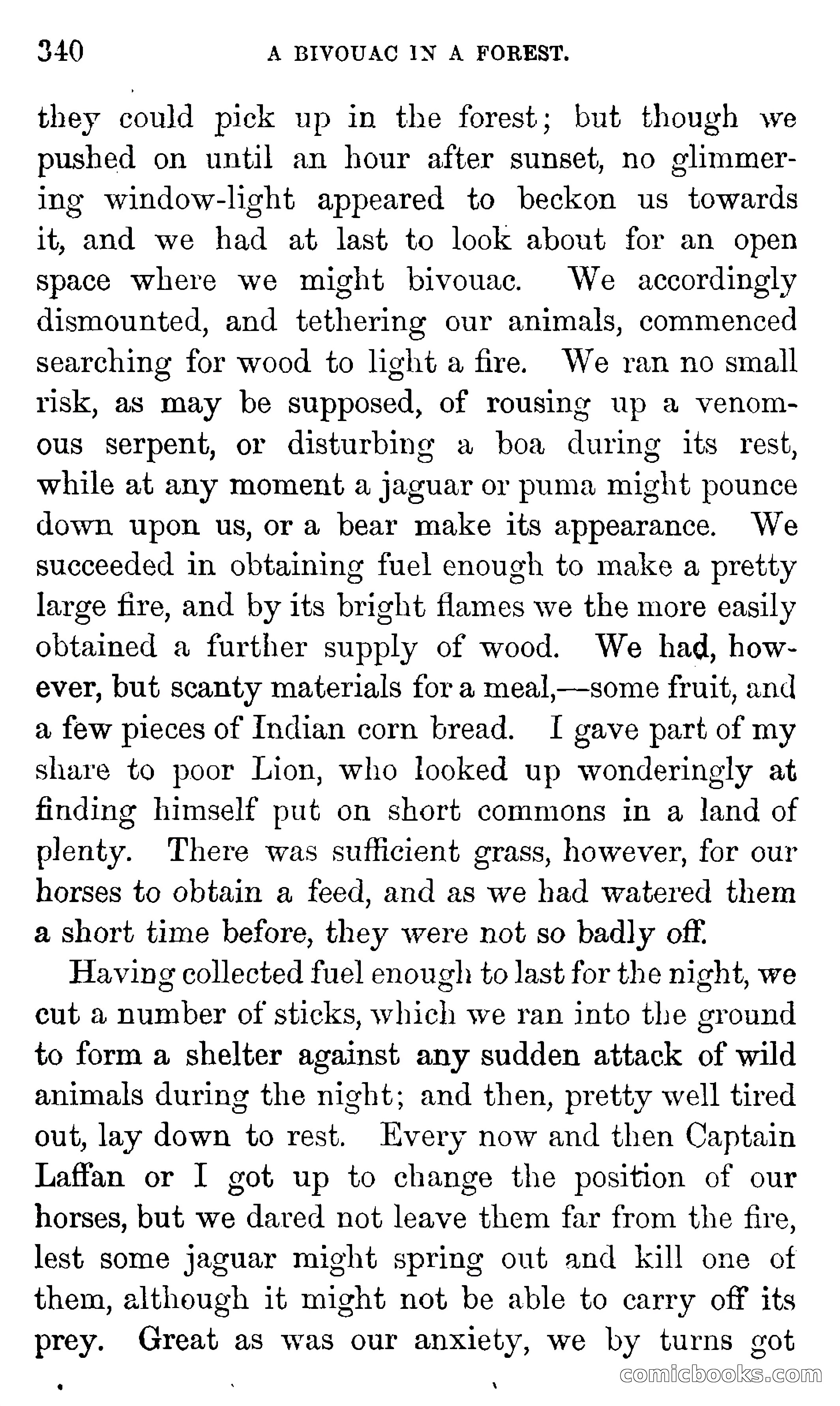 Don Juan's Volunteers — page 336 of 364