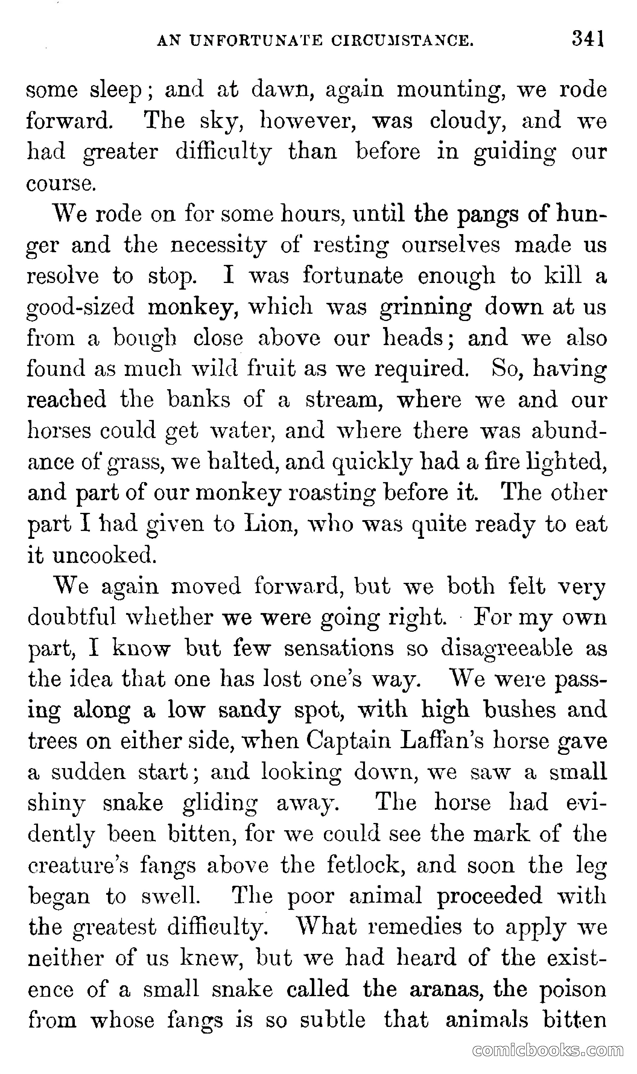 Don Juan's Volunteers — page 337 of 364