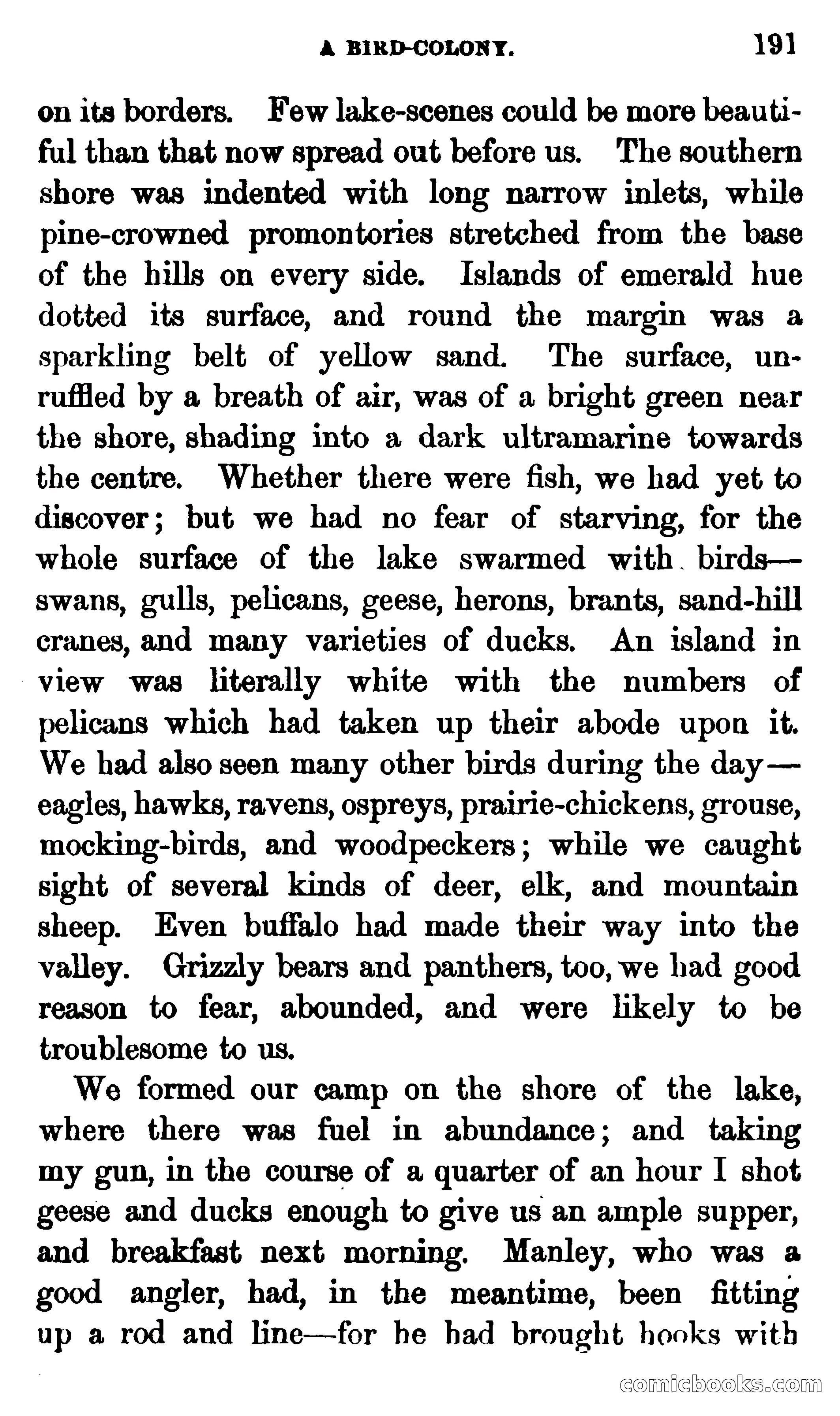 In the Rocky Mountains — page 193 of 256