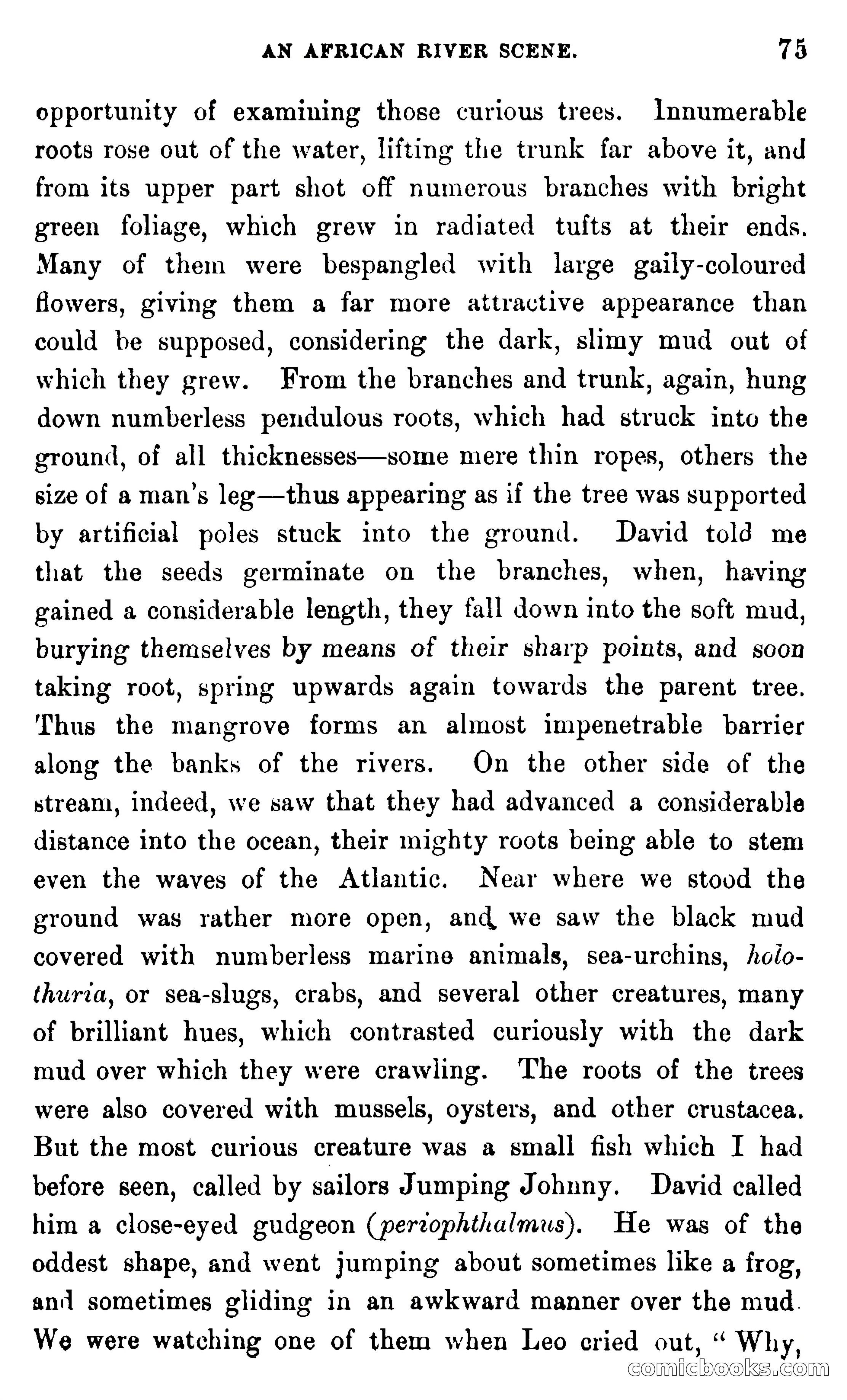 In the Wilds of Africa — page 75 of 400