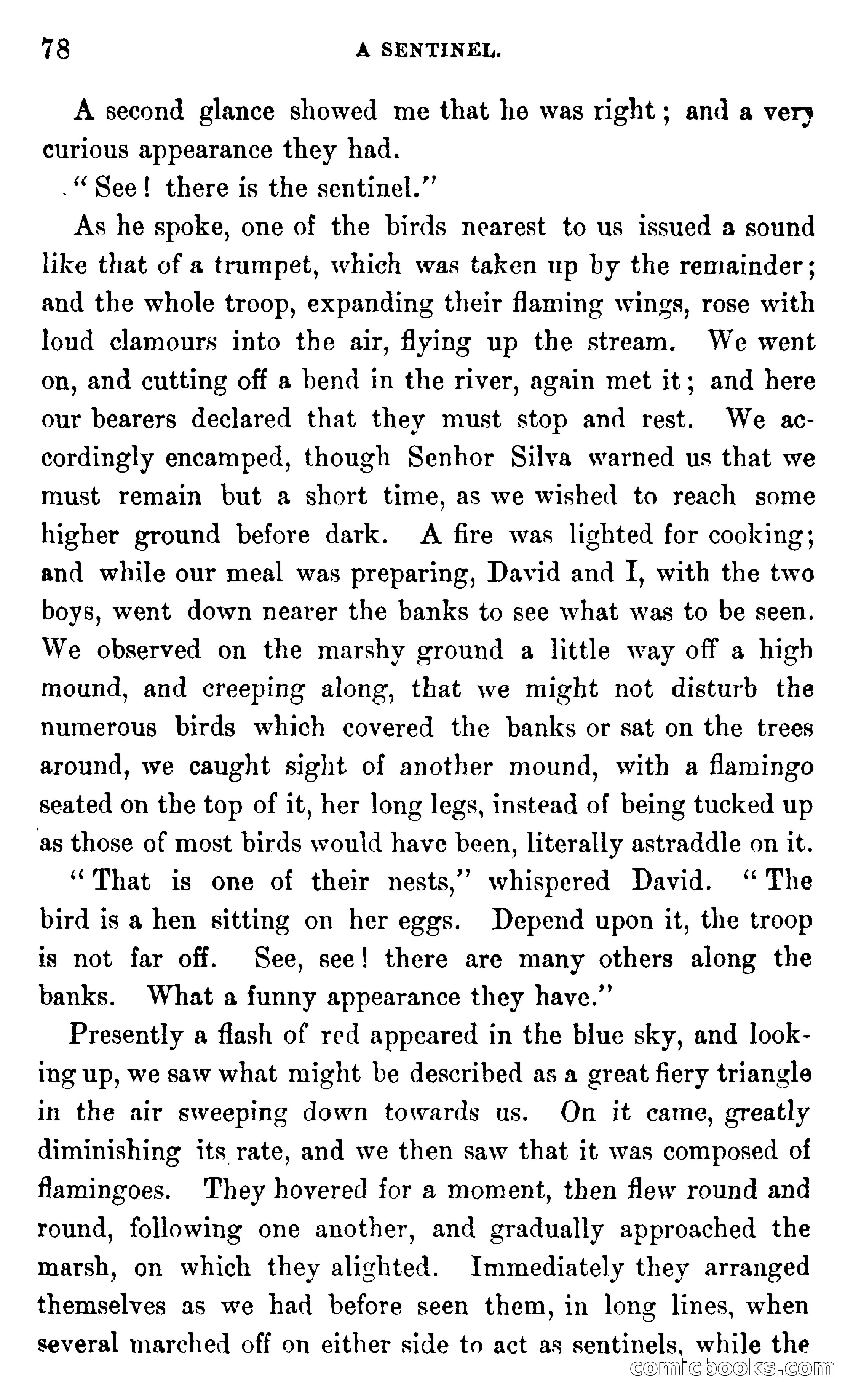 In the Wilds of Africa — page 78 of 400
