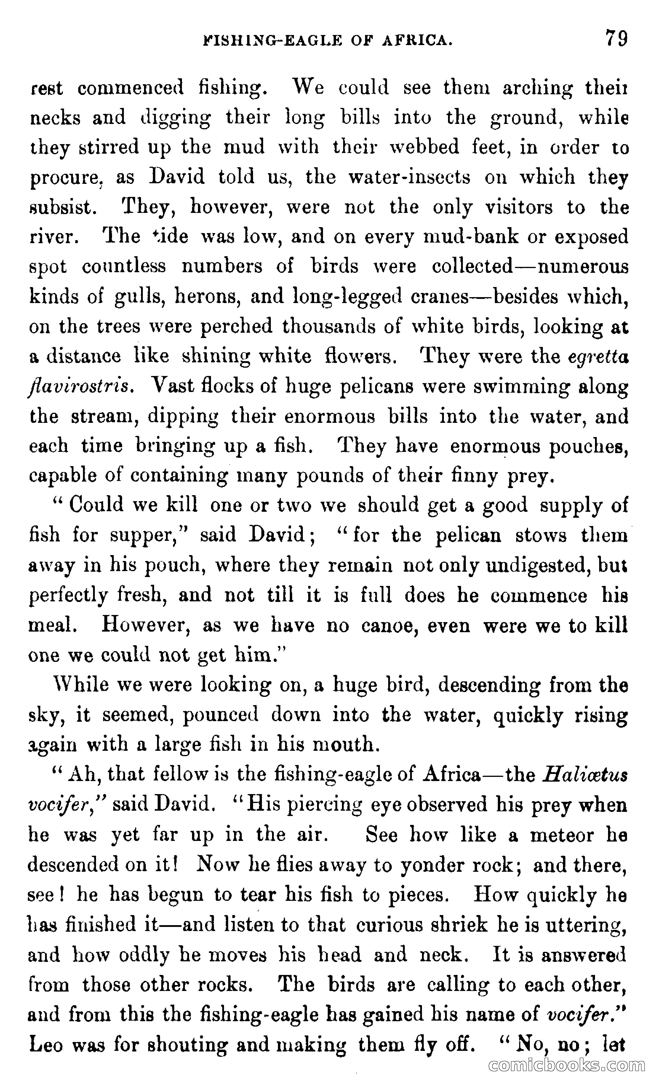 In the Wilds of Africa — page 79 of 400