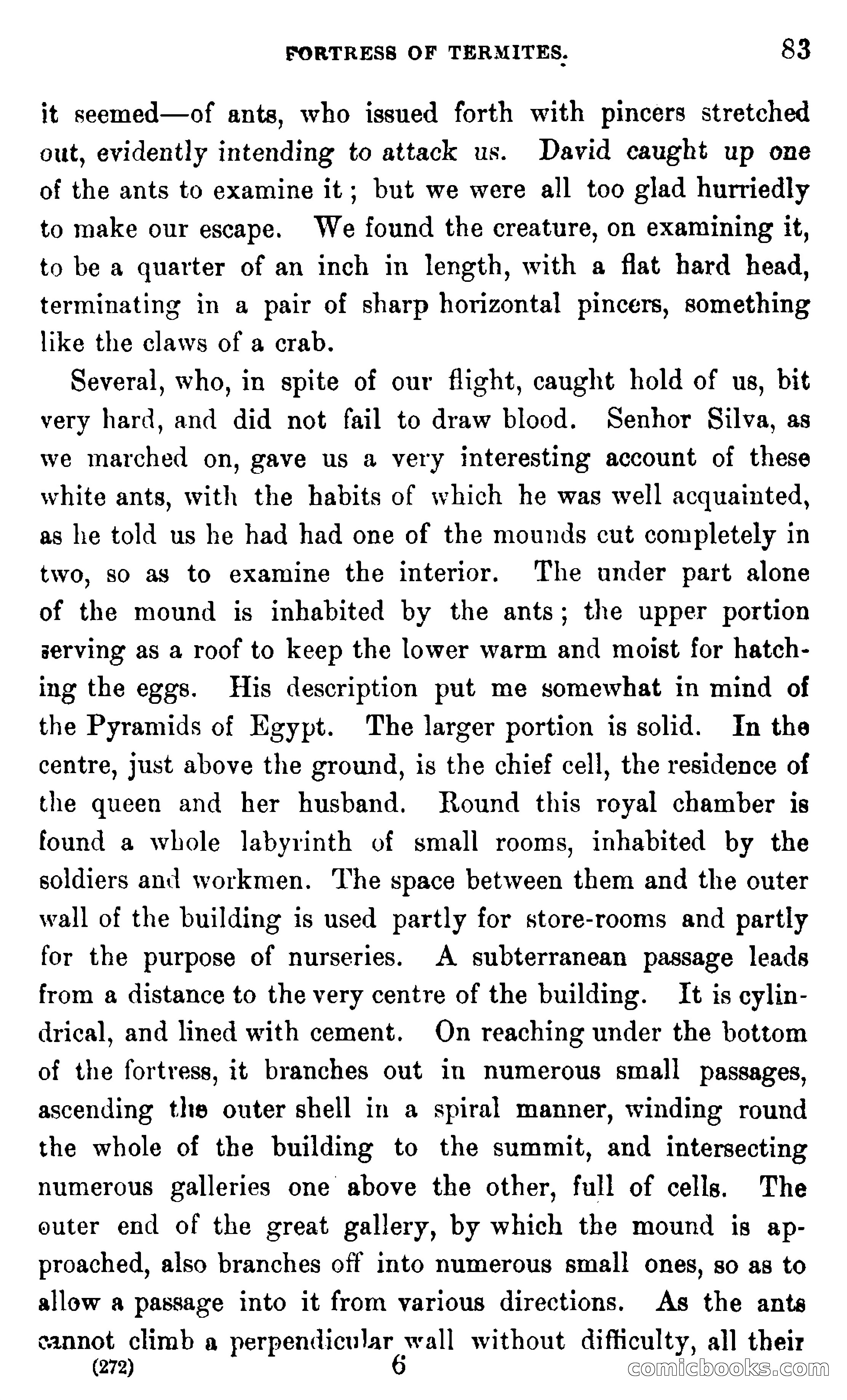 In the Wilds of Africa — page 83 of 400