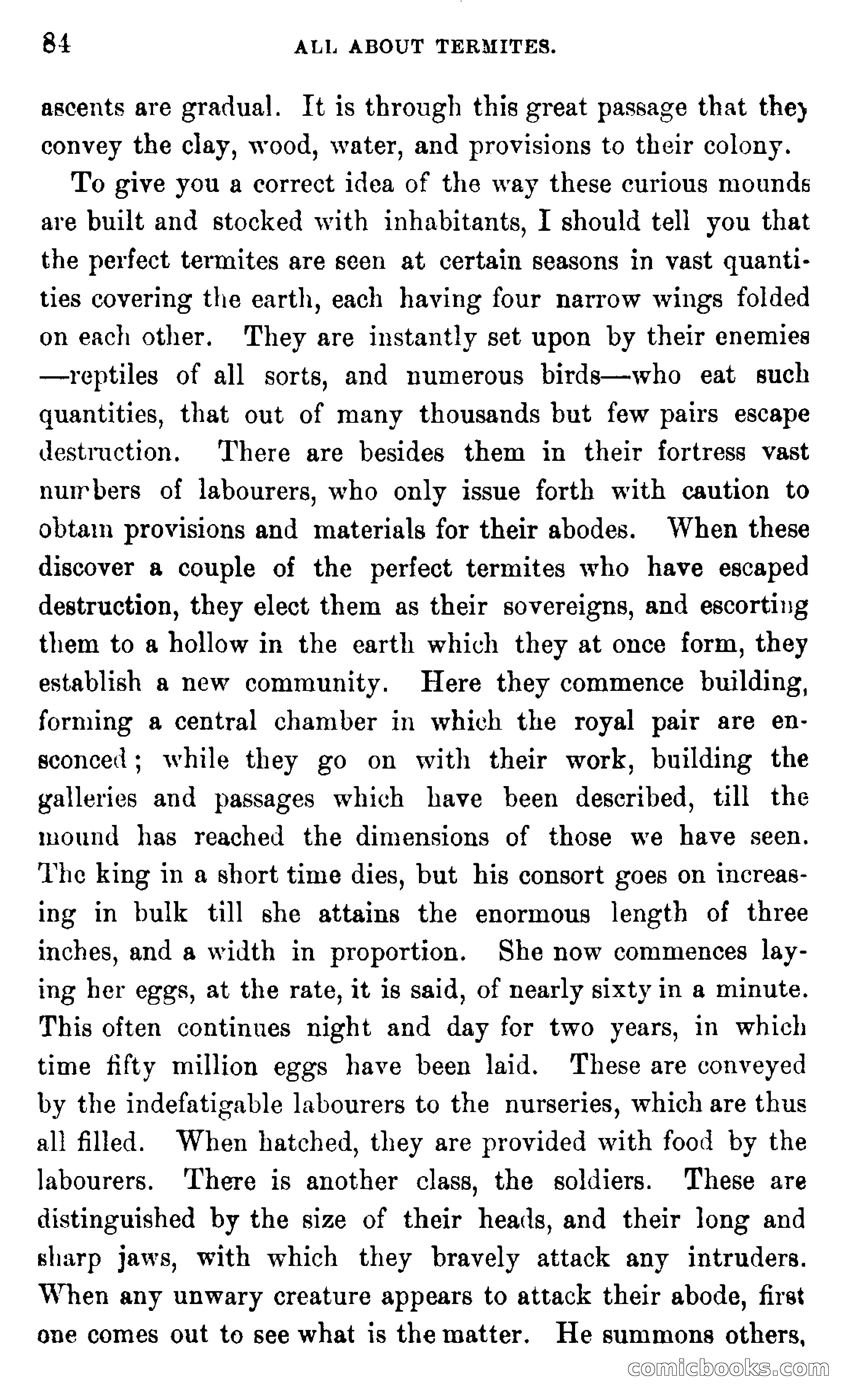 In the Wilds of Africa — page 84 of 400