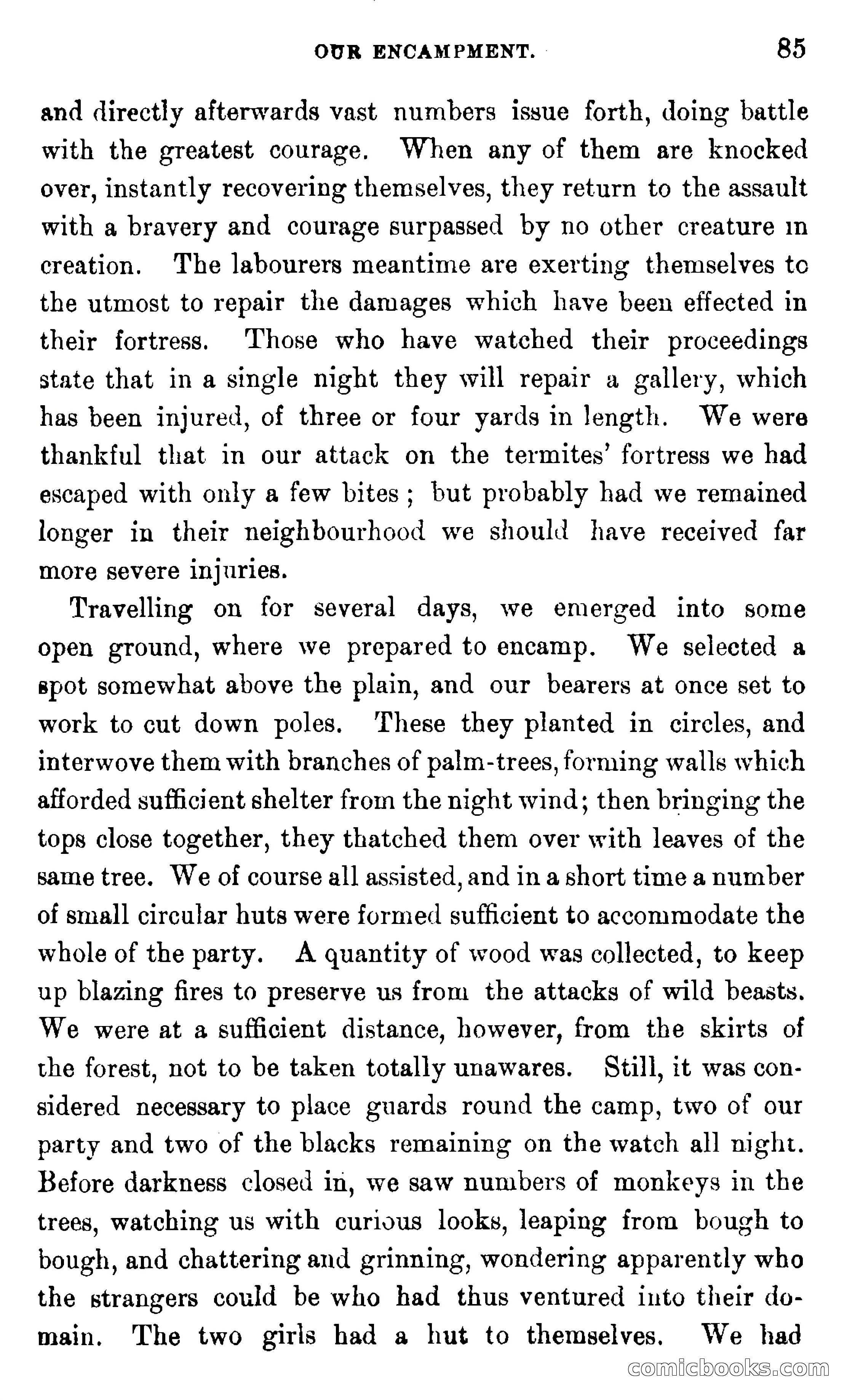 In the Wilds of Africa — page 85 of 400