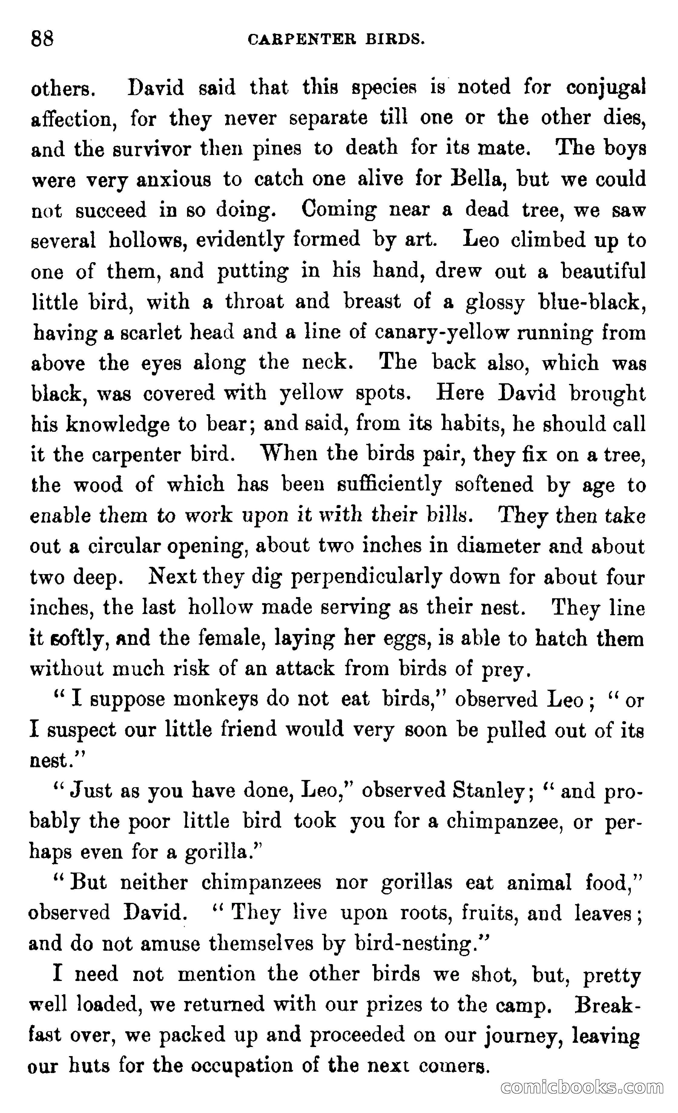 In the Wilds of Africa — page 88 of 400