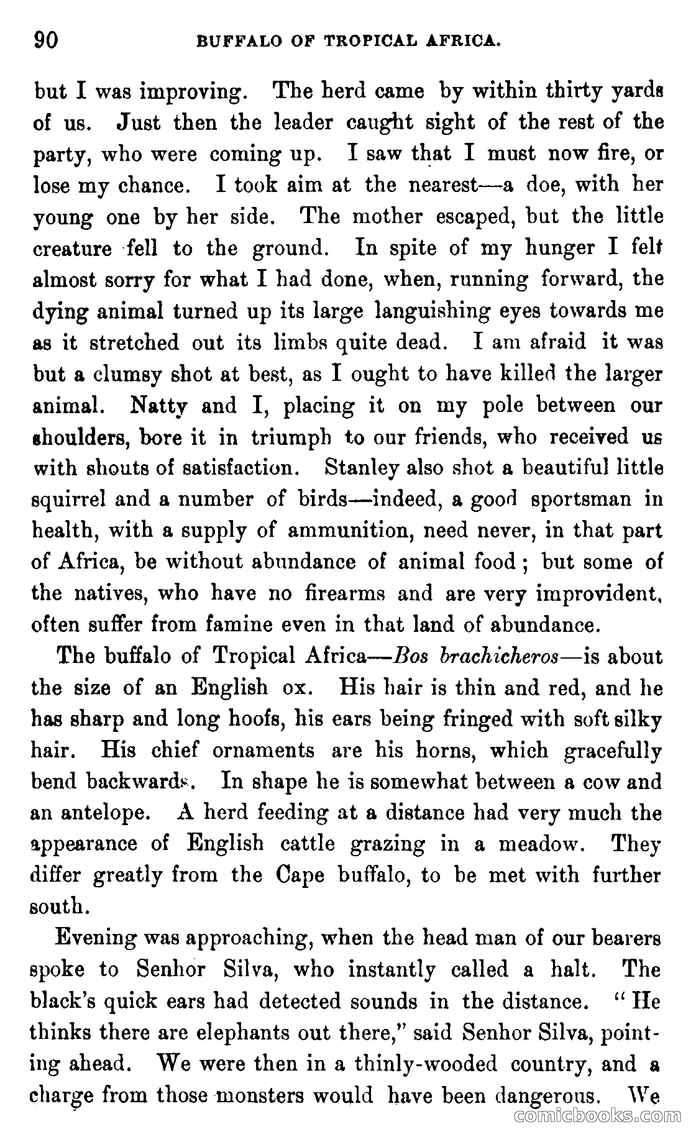 In the Wilds of Africa — page 90 of 400