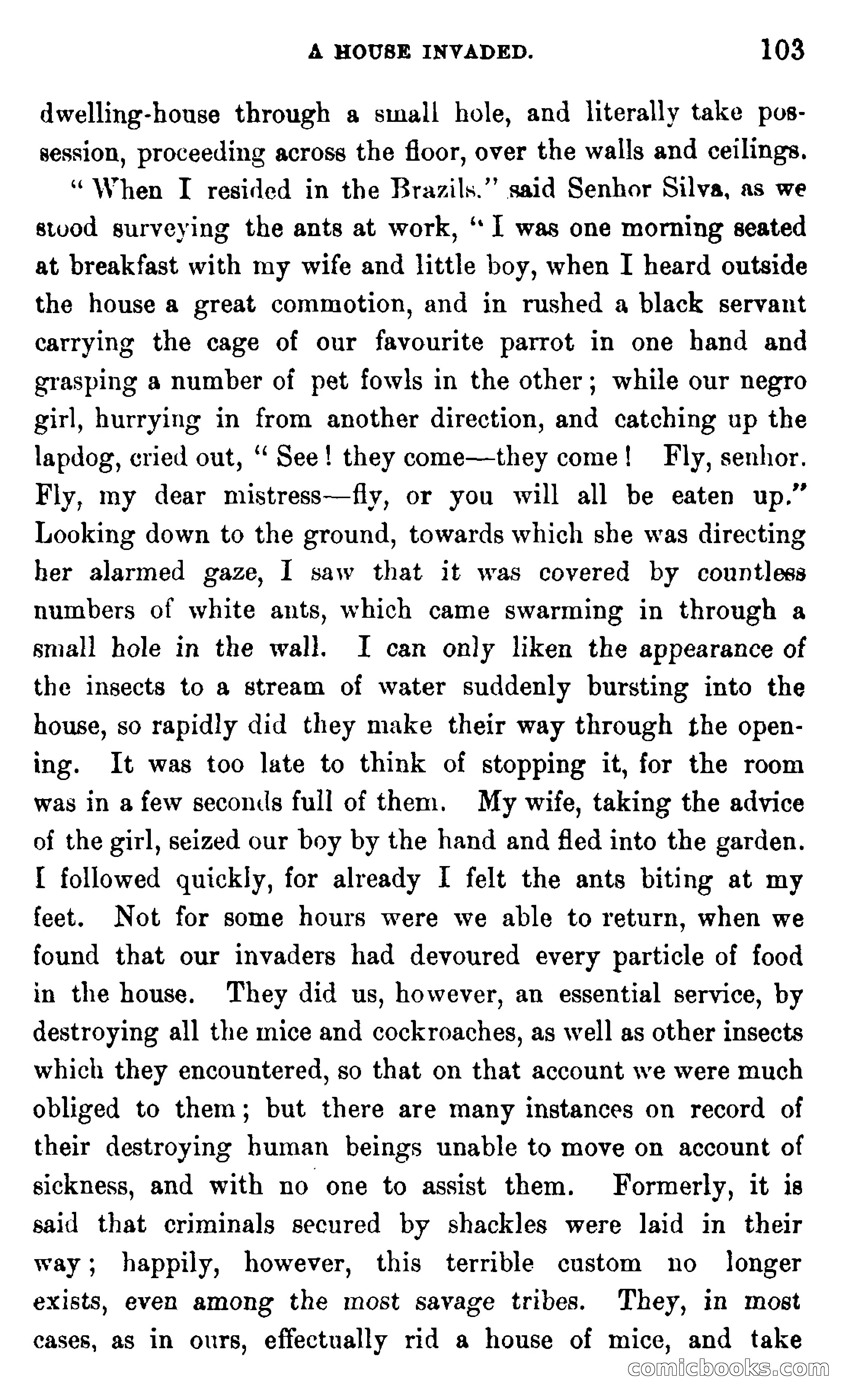 In the Wilds of Africa — page 103 of 400