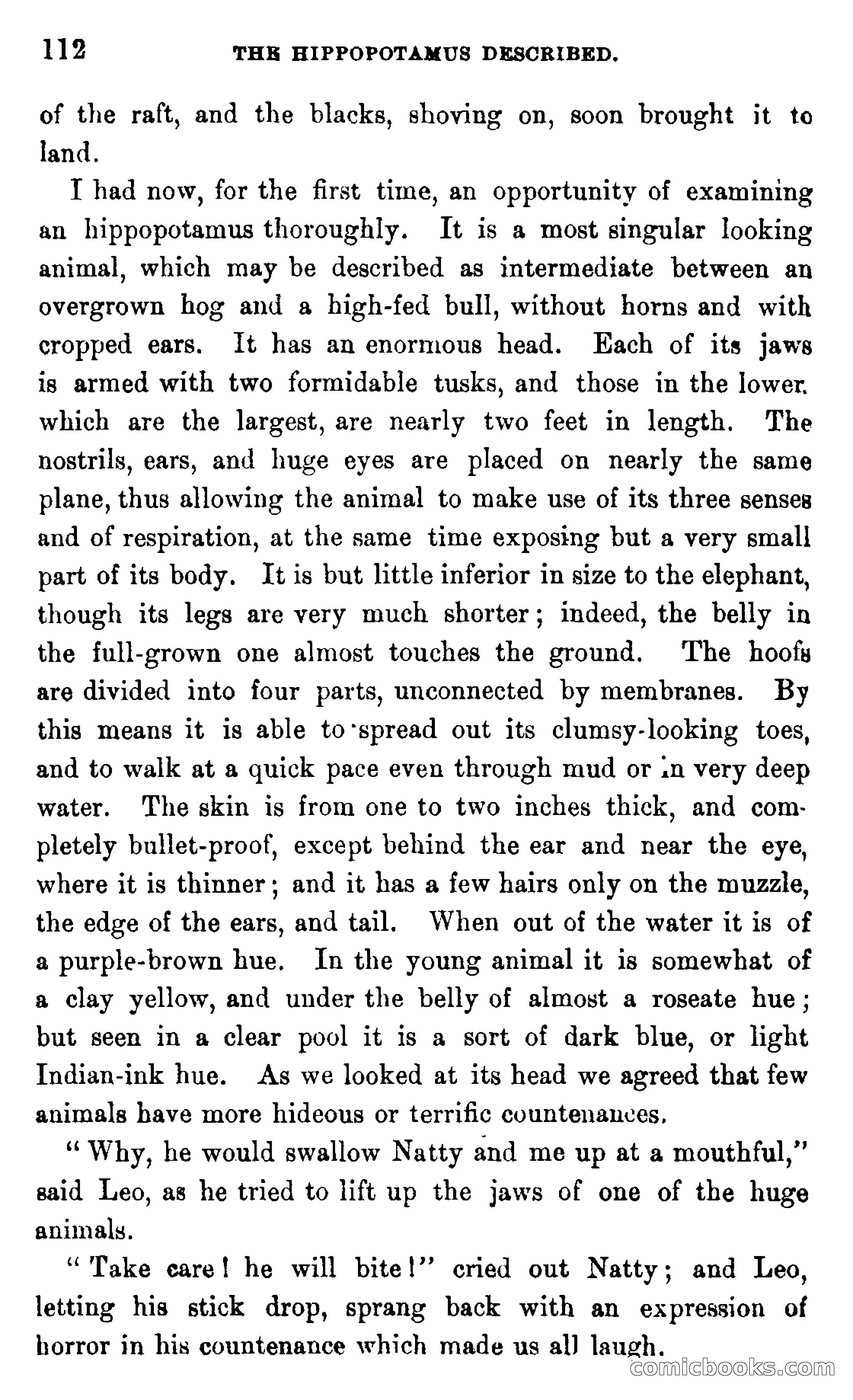 In the Wilds of Africa — page 112 of 400