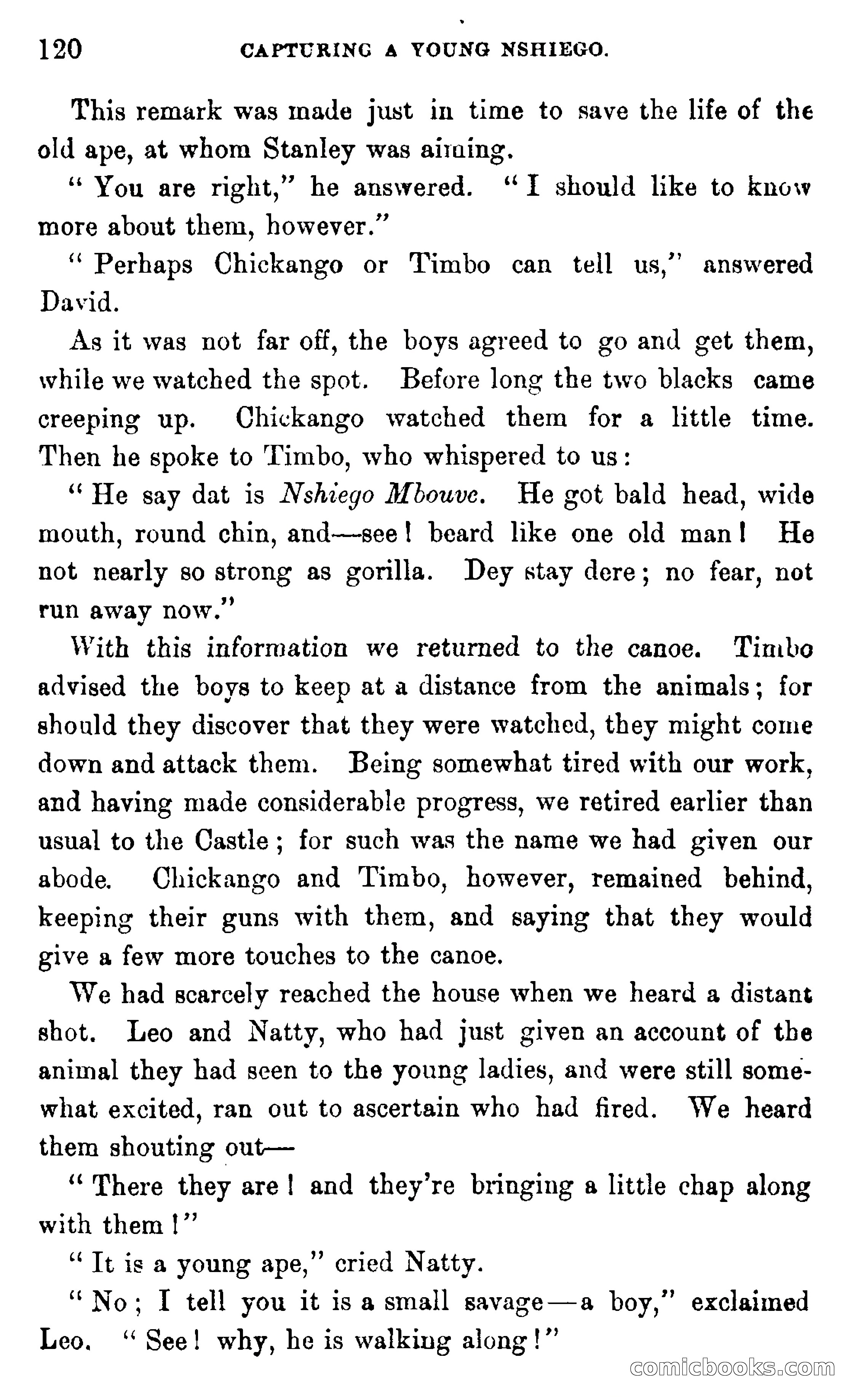 In the Wilds of Africa — page 120 of 400