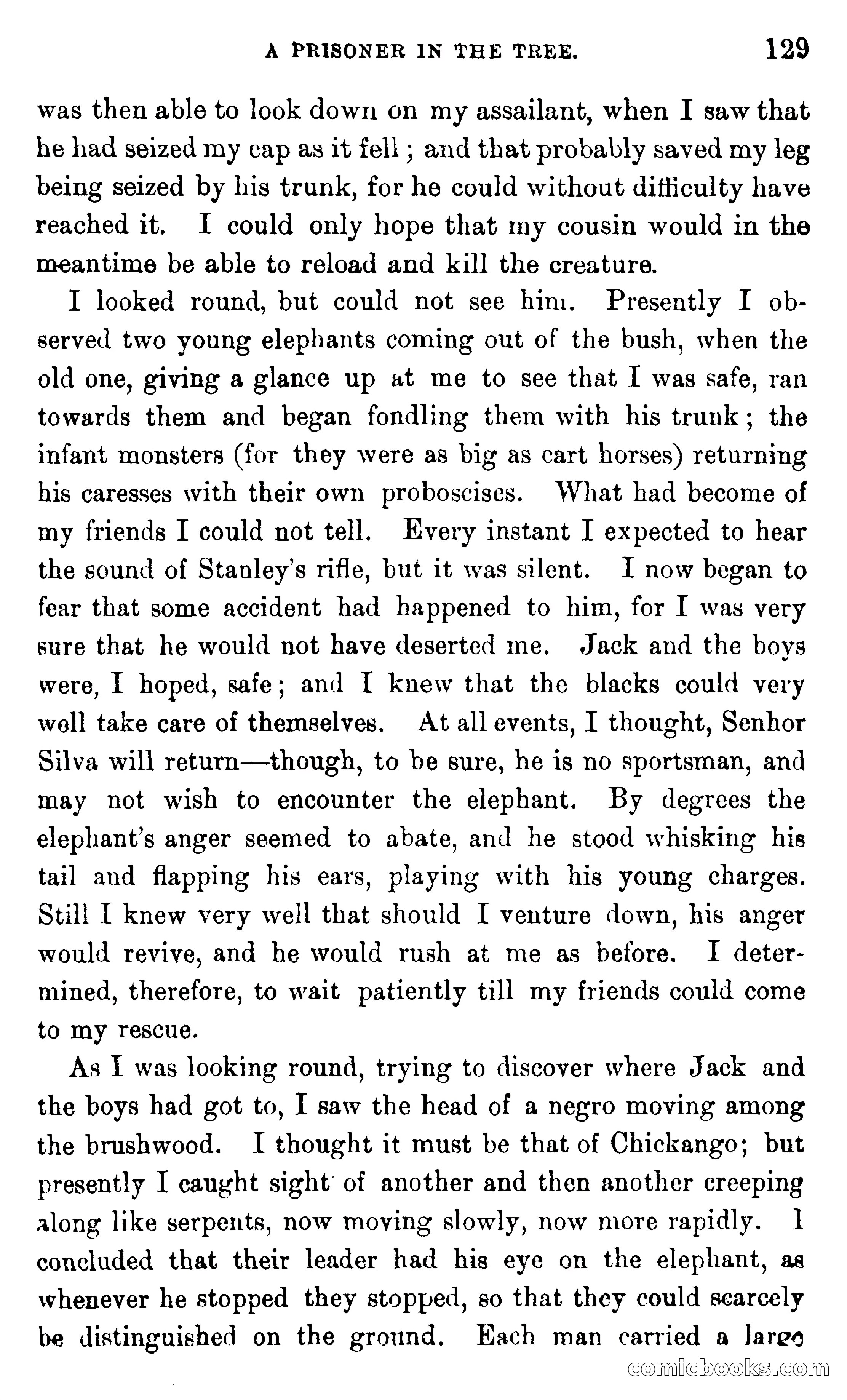 In the Wilds of Africa — page 129 of 400