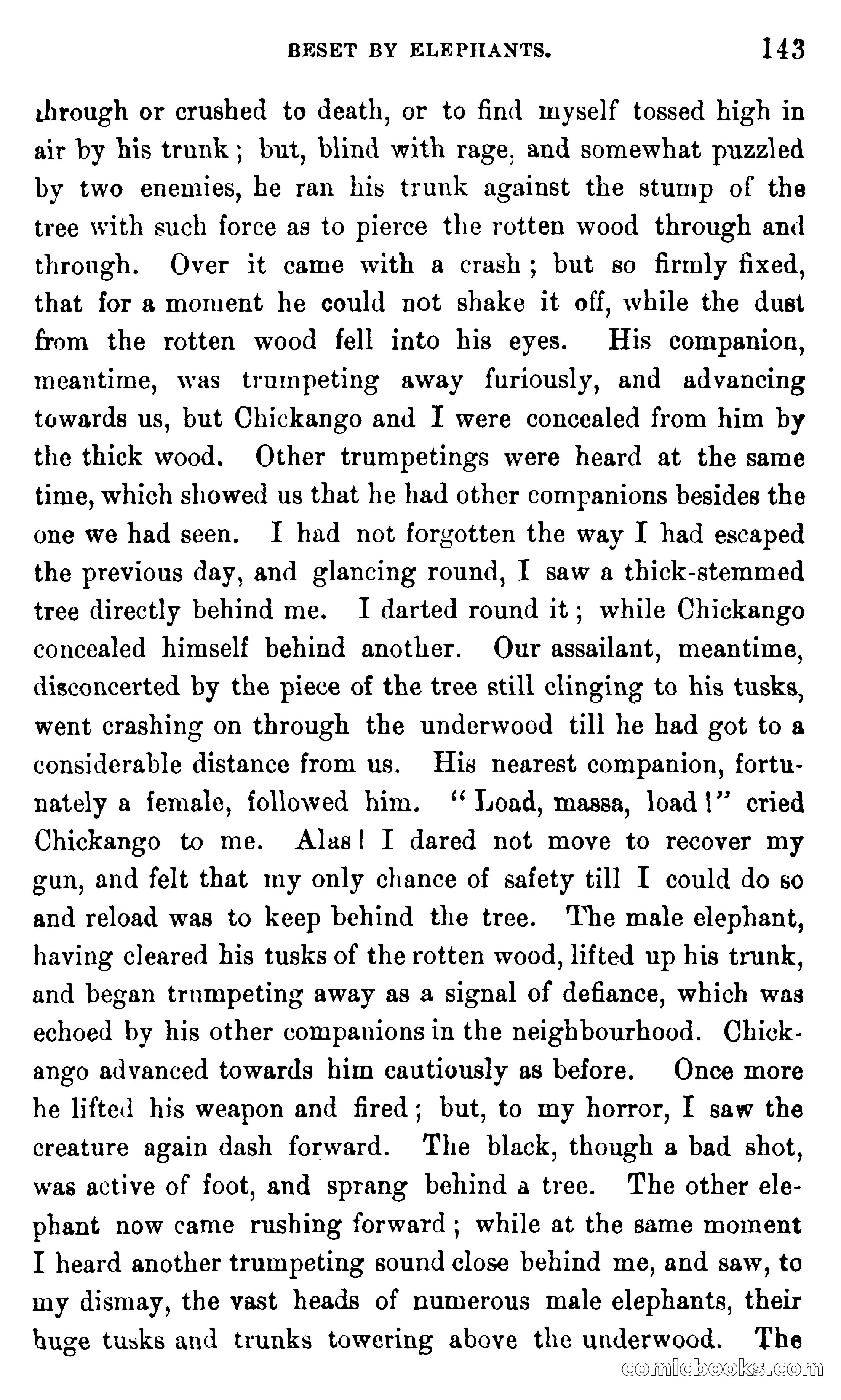 In the Wilds of Africa — page 143 of 400