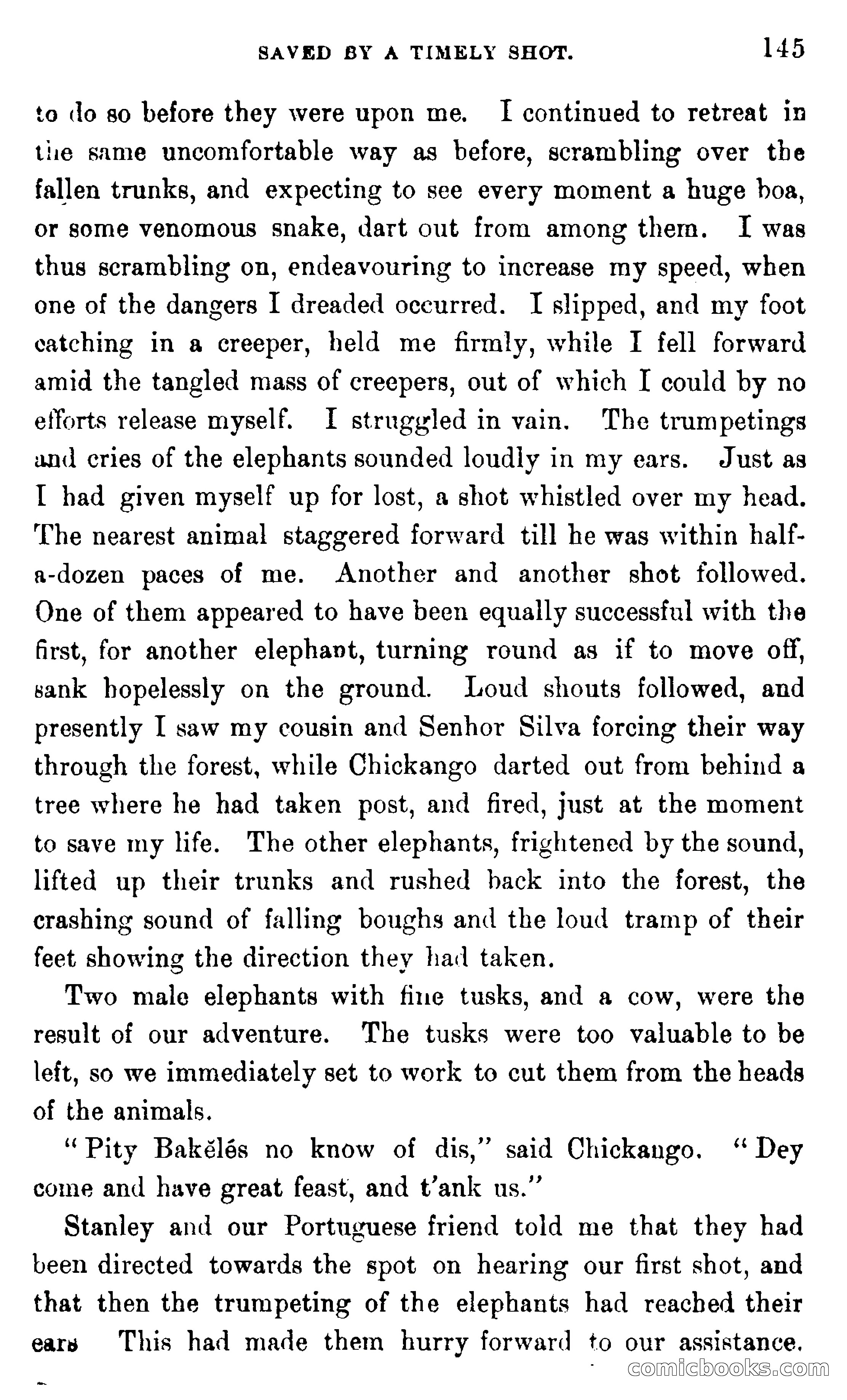 In the Wilds of Africa — page 145 of 400