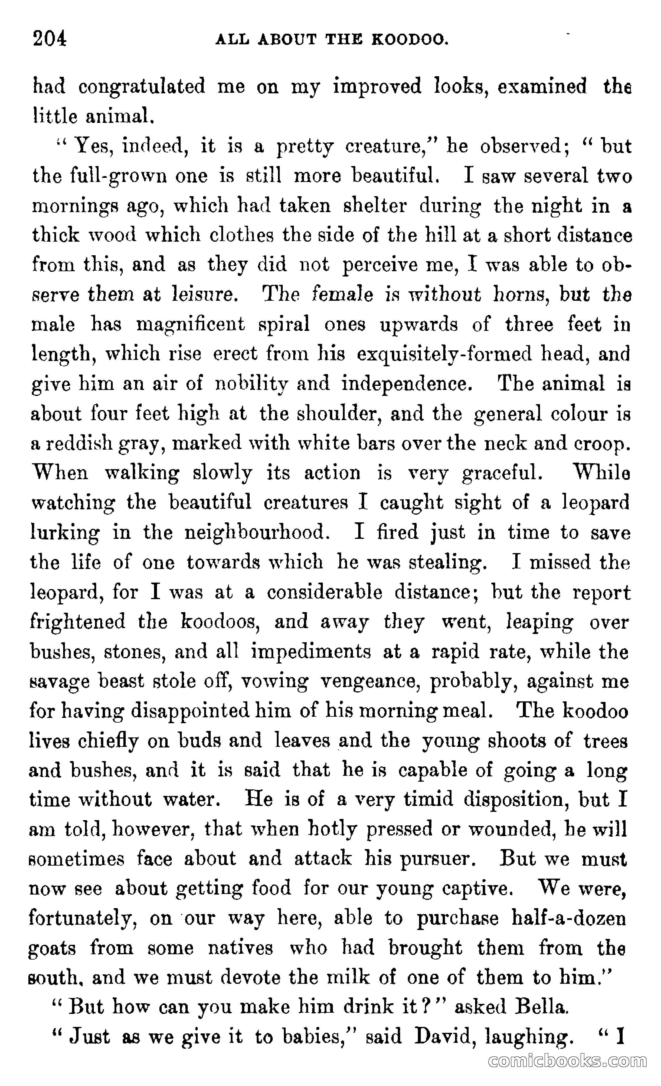 In the Wilds of Africa — page 204 of 400