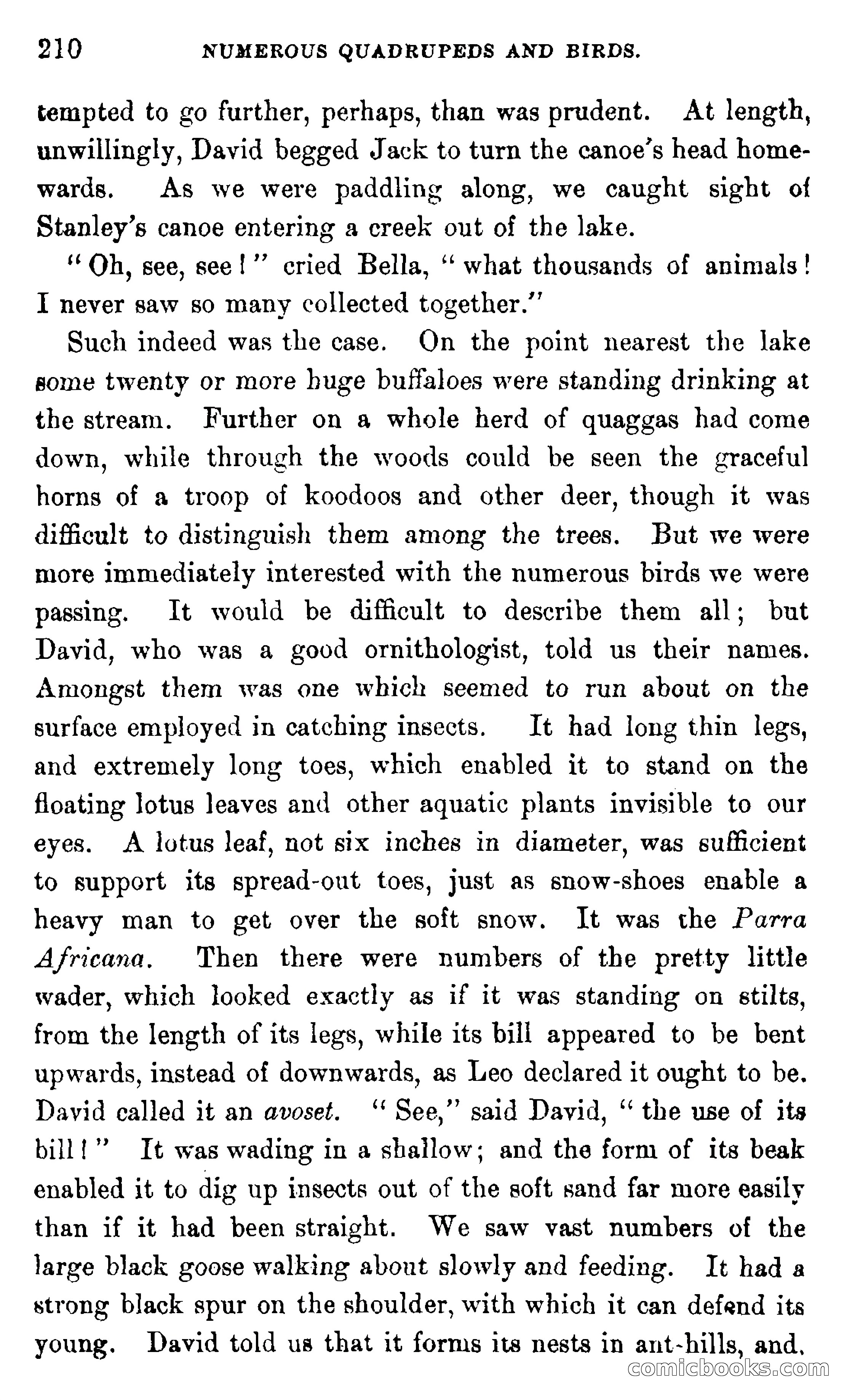 In the Wilds of Africa — page 210 of 400